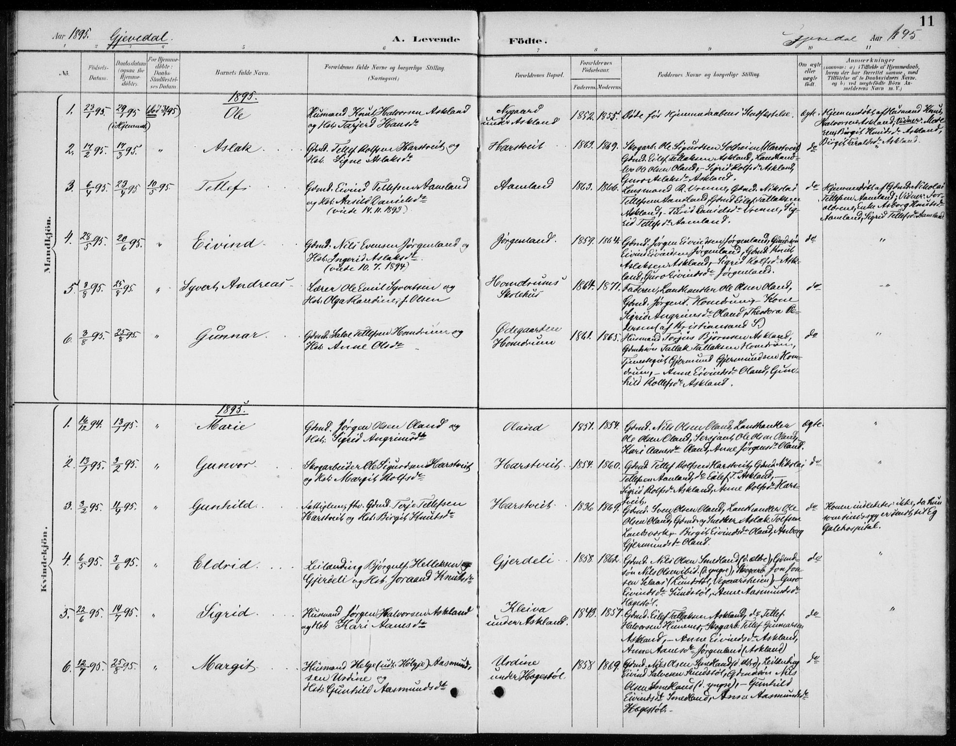 Åmli sokneprestkontor, AV/SAK-1111-0050/F/Fb/Fba/L0002: Parish register (copy) no. B 2, 1890-1912, p. 11