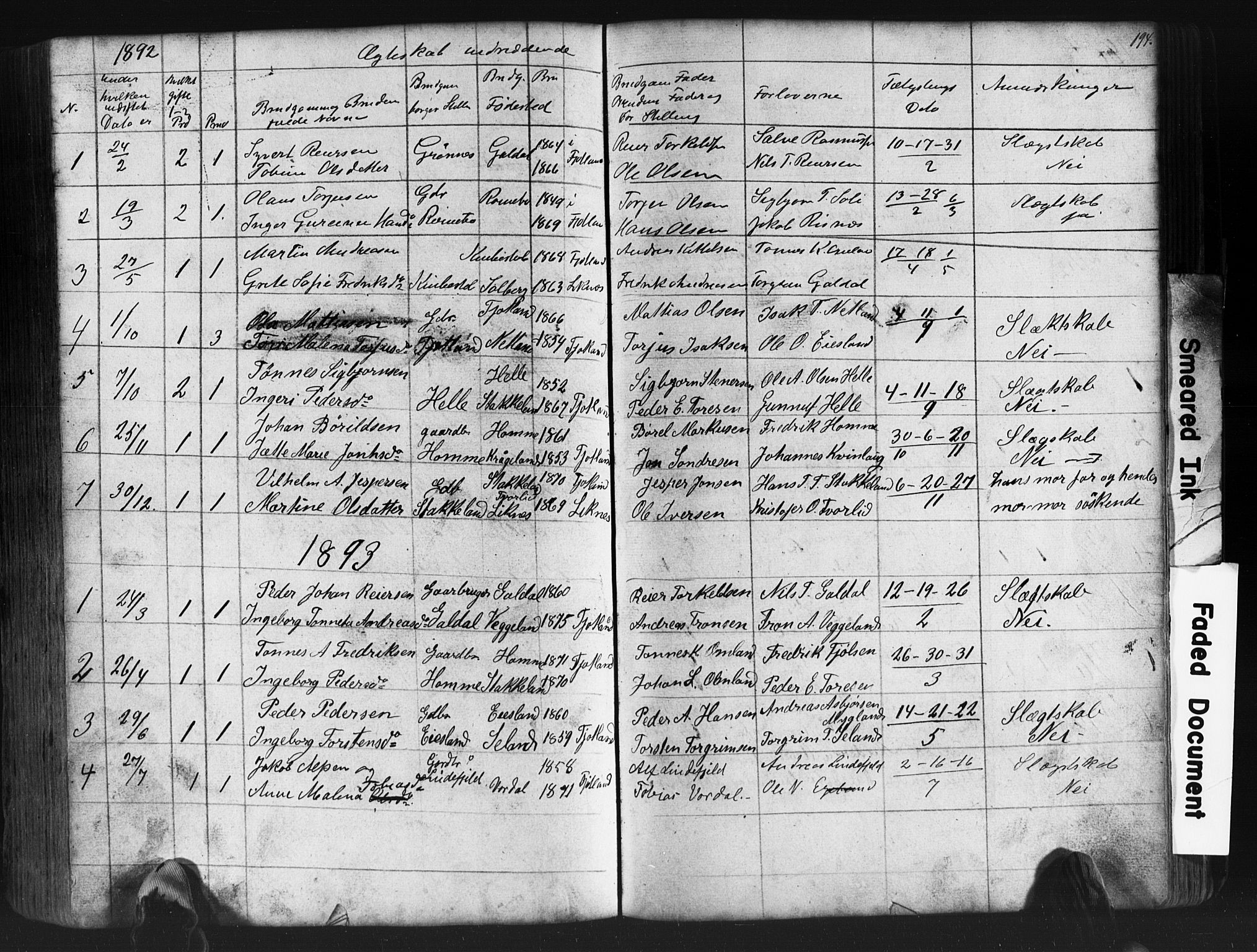 Fjotland sokneprestkontor, AV/SAK-1111-0010/F/Fb/L0003: Parish register (copy) no. B 3, 1872-1924, p. 194