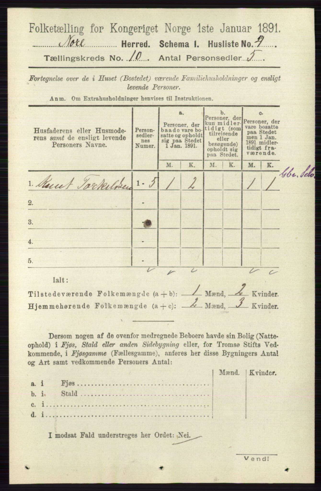 RA, 1891 census for 0633 Nore, 1891, p. 3518