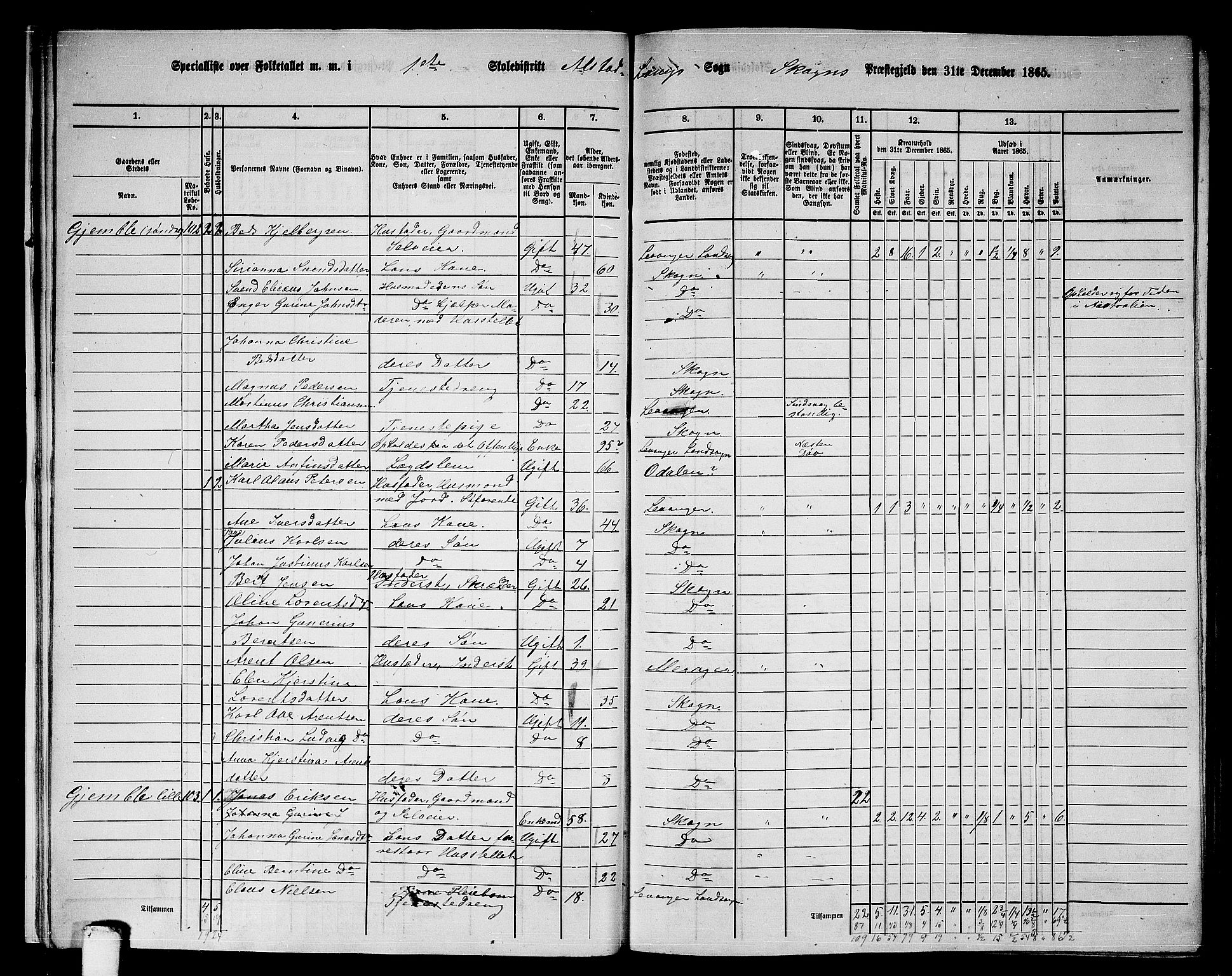 RA, 1865 census for Skogn, 1865, p. 19