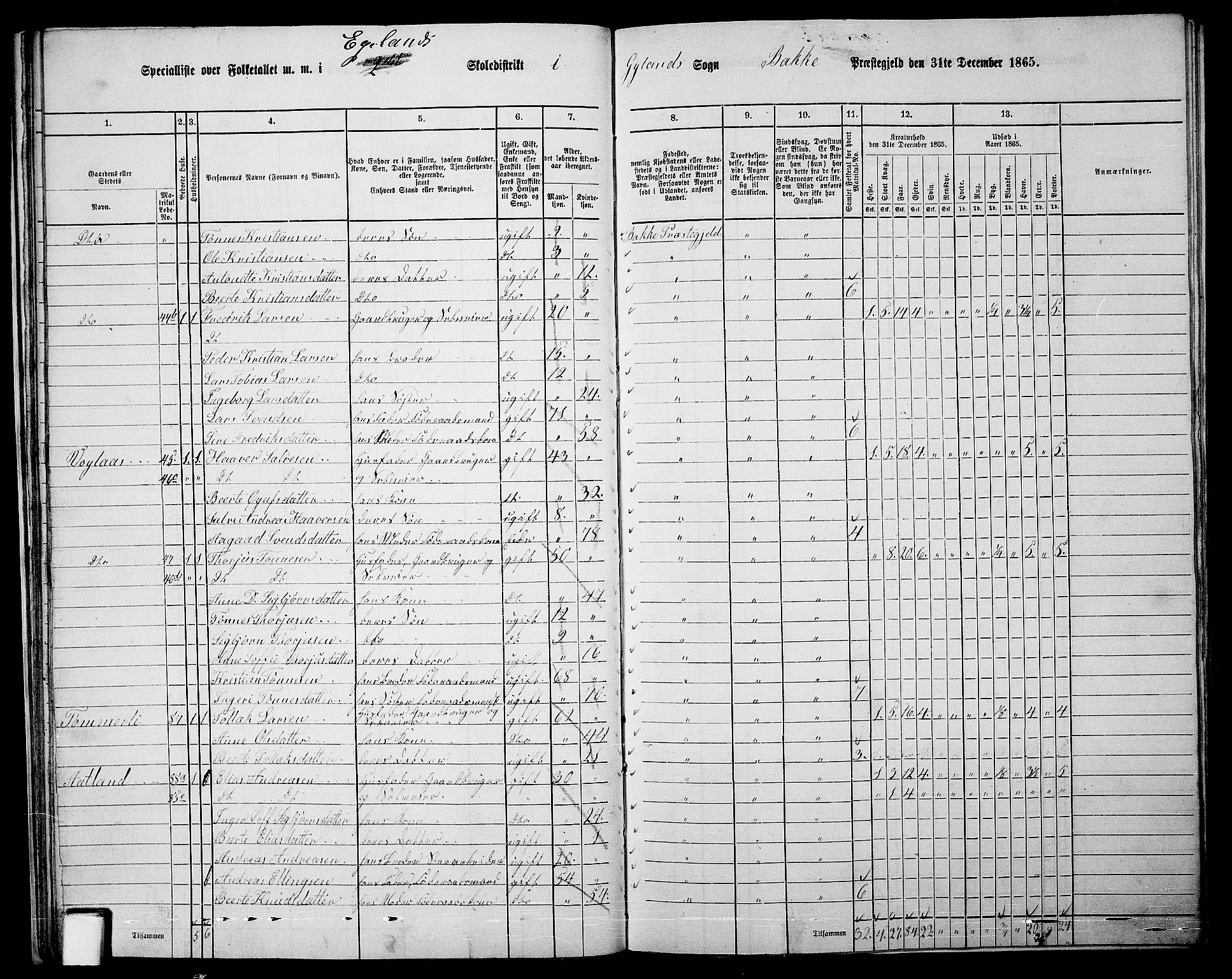 RA, 1865 census for Bakke, 1865, p. 26