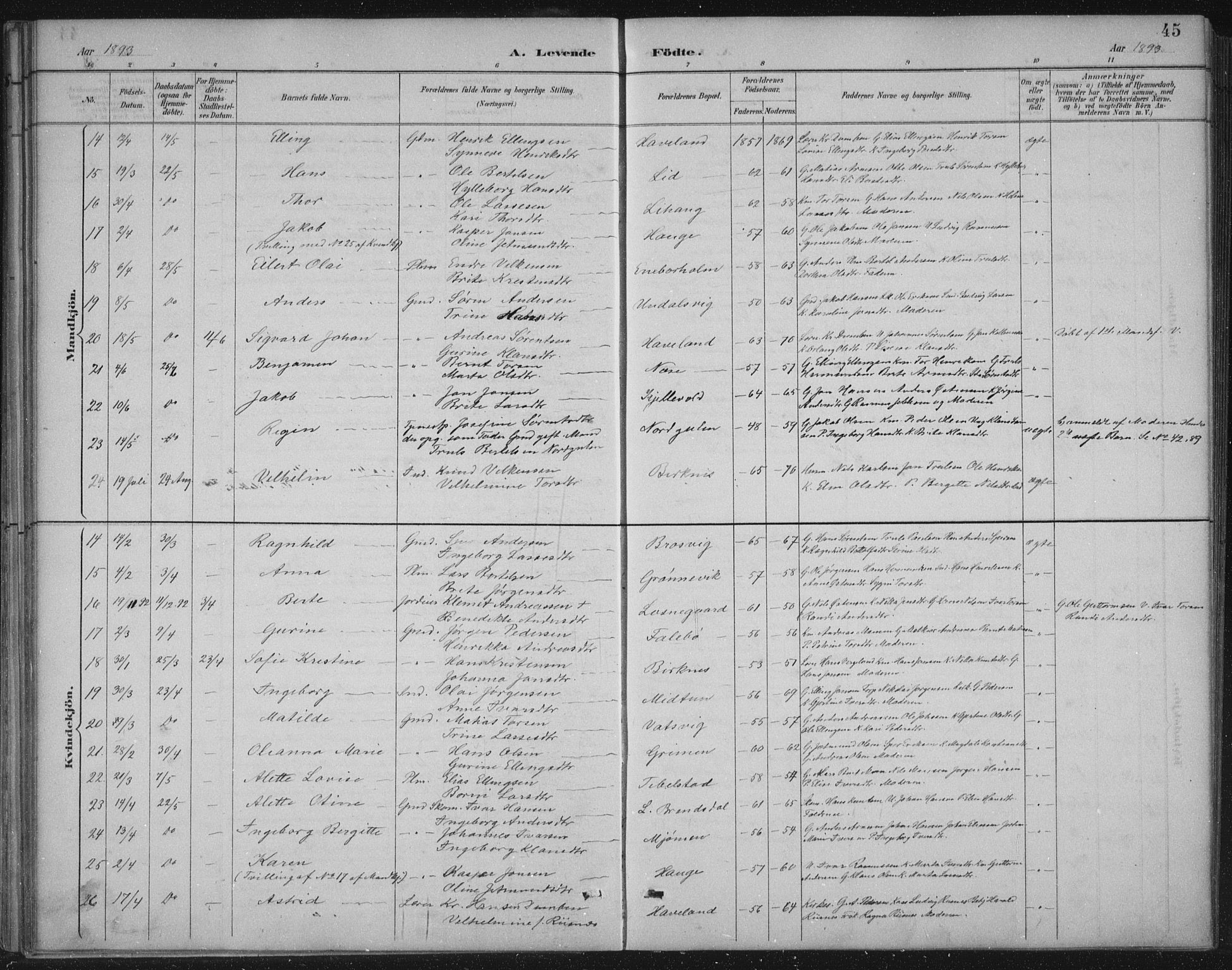 Gulen sokneprestembete, AV/SAB-A-80201/H/Hab/Habb/L0003: Parish register (copy) no. B 3, 1884-1907, p. 45