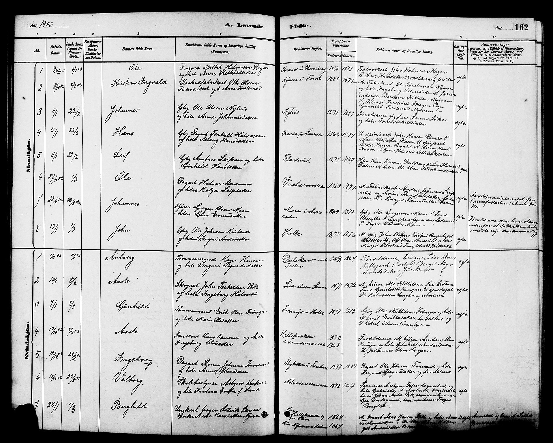 Heddal kirkebøker, SAKO/A-268/G/Ga/L0002: Parish register (copy) no. I 2, 1879-1908, p. 162