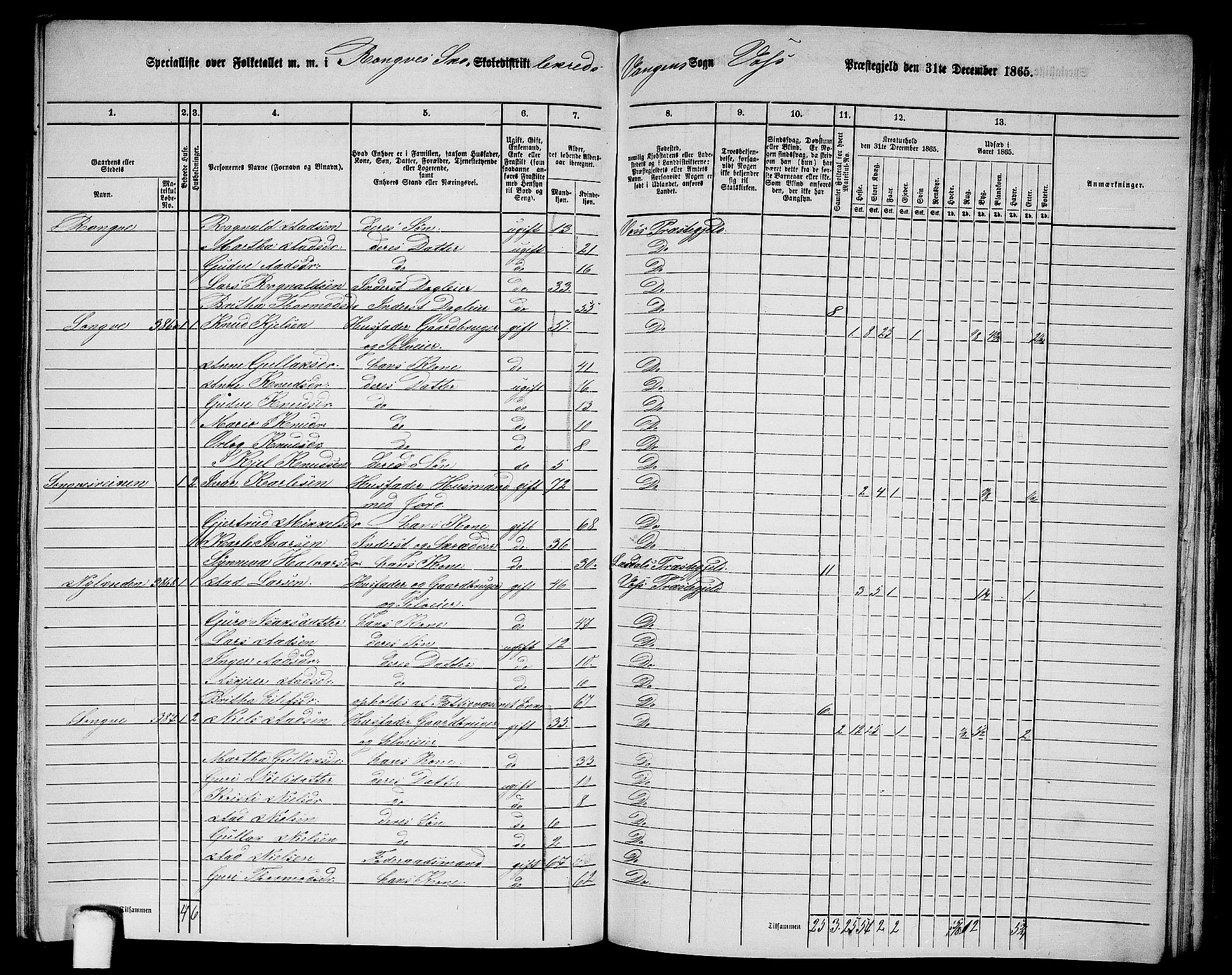 RA, 1865 census for Voss, 1865, p. 177