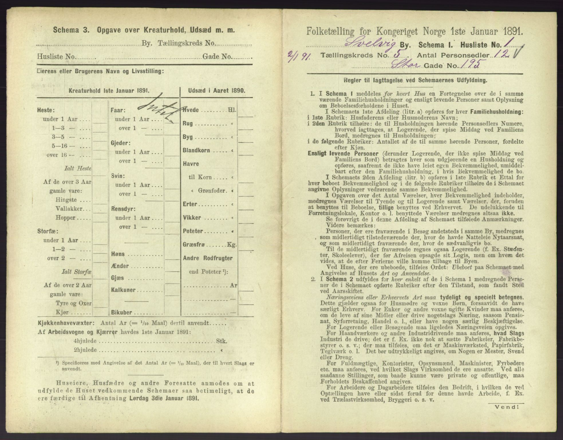 RA, 1891 census for 0701 Svelvik, 1891, p. 460