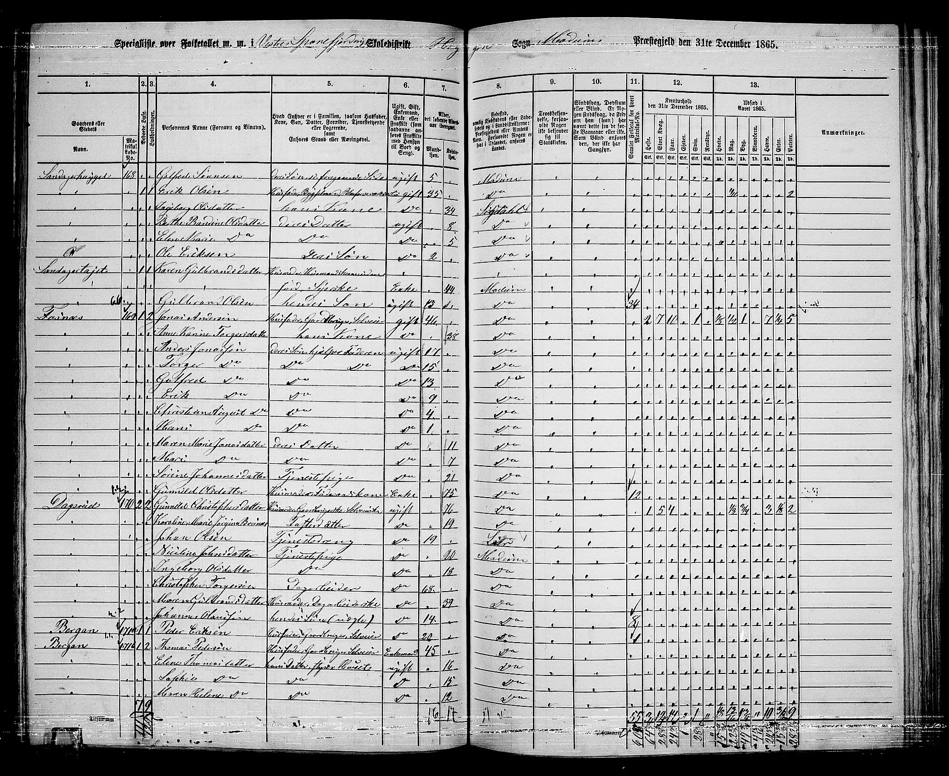 RA, 1865 census for Modum, 1865, p. 207