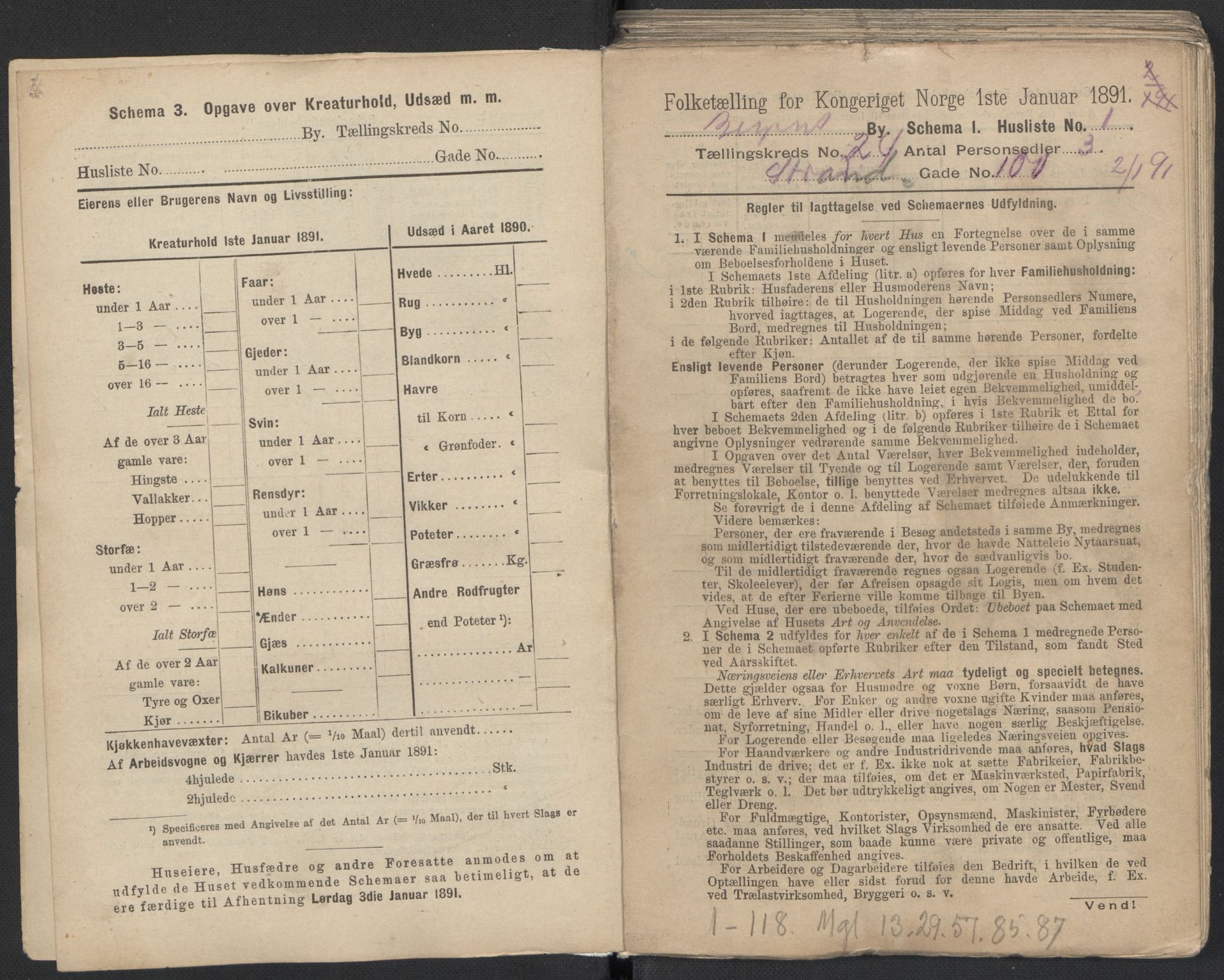 RA, 1891 Census for 1301 Bergen, 1891, p. 3785