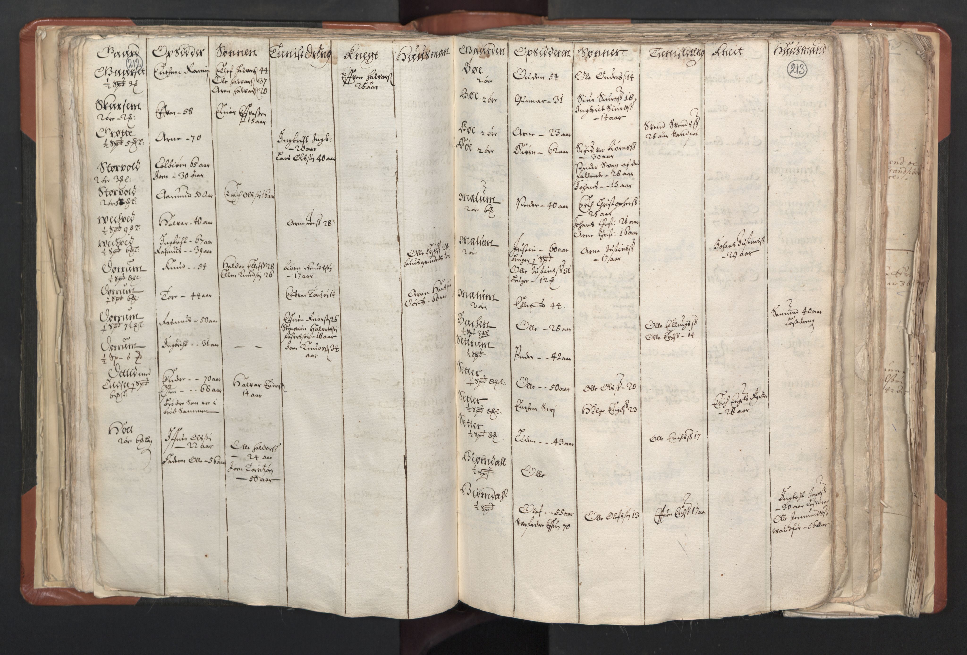 RA, Vicar's Census 1664-1666, no. 31: Dalane deanery, 1664-1666, p. 212-213