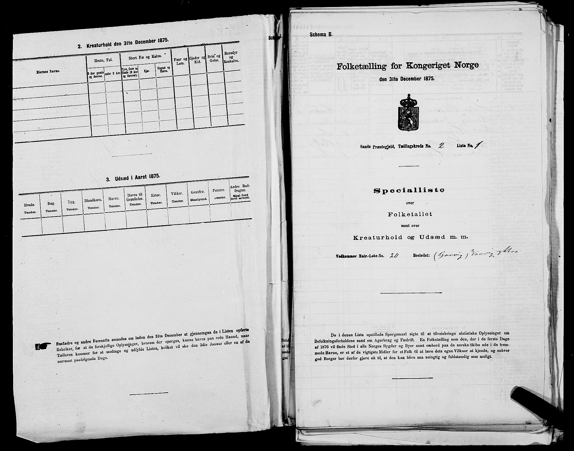 SAST, 1875 census for 1136P Sand, 1875, p. 142