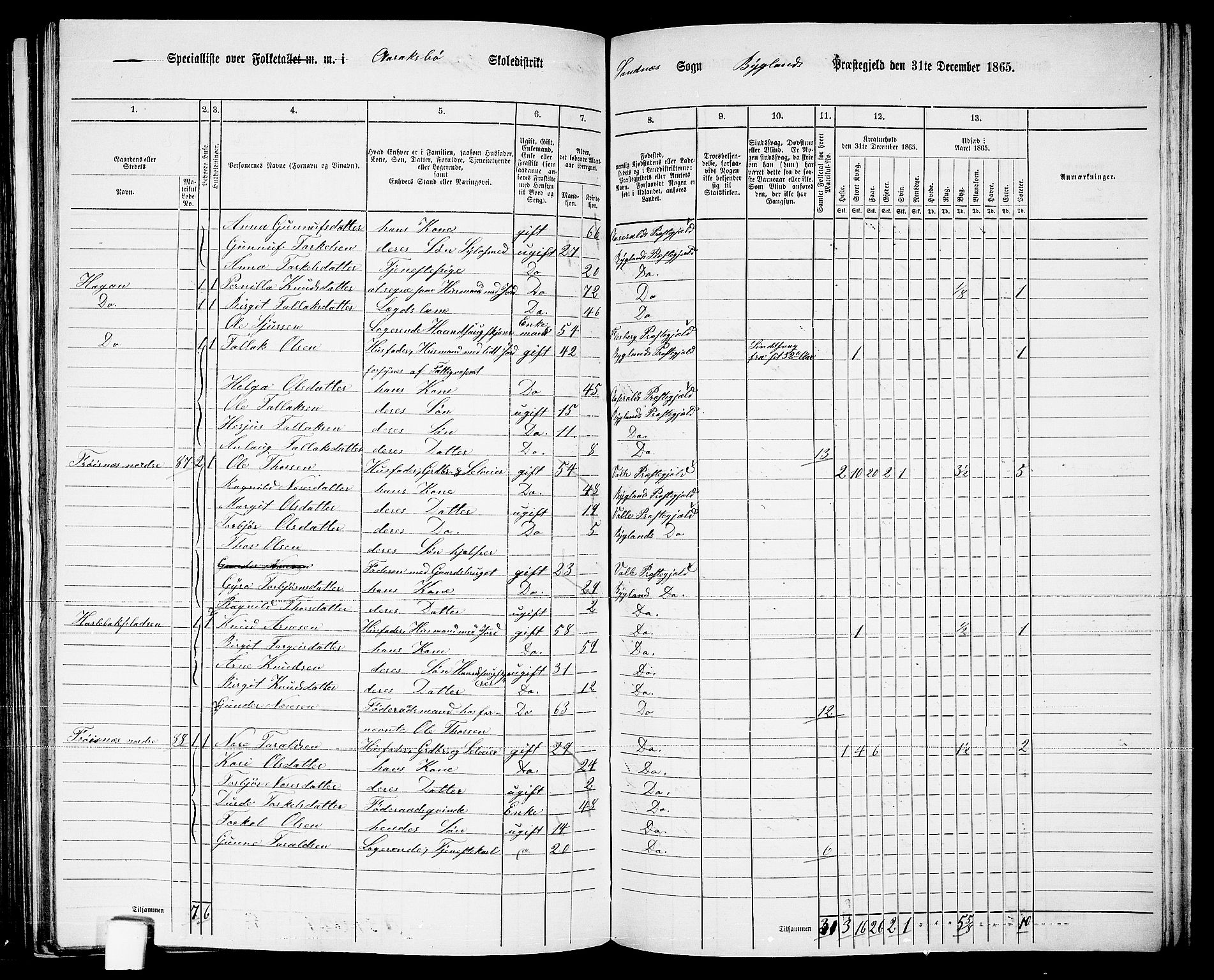 RA, 1865 census for Bygland, 1865, p. 42