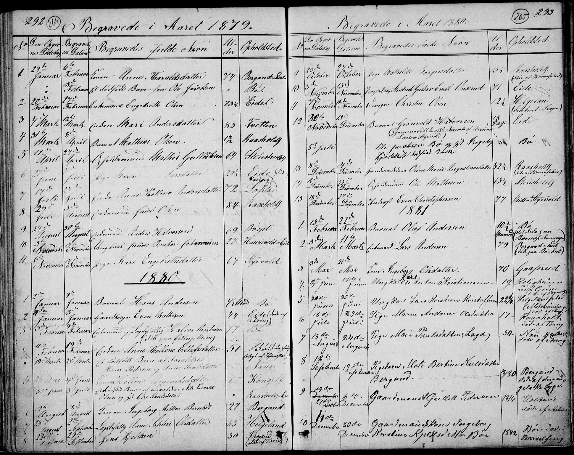 Lardal kirkebøker, AV/SAKO-A-350/G/Gc/L0001: Parish register (copy) no. III 1, 1859-1893, p. 292-293