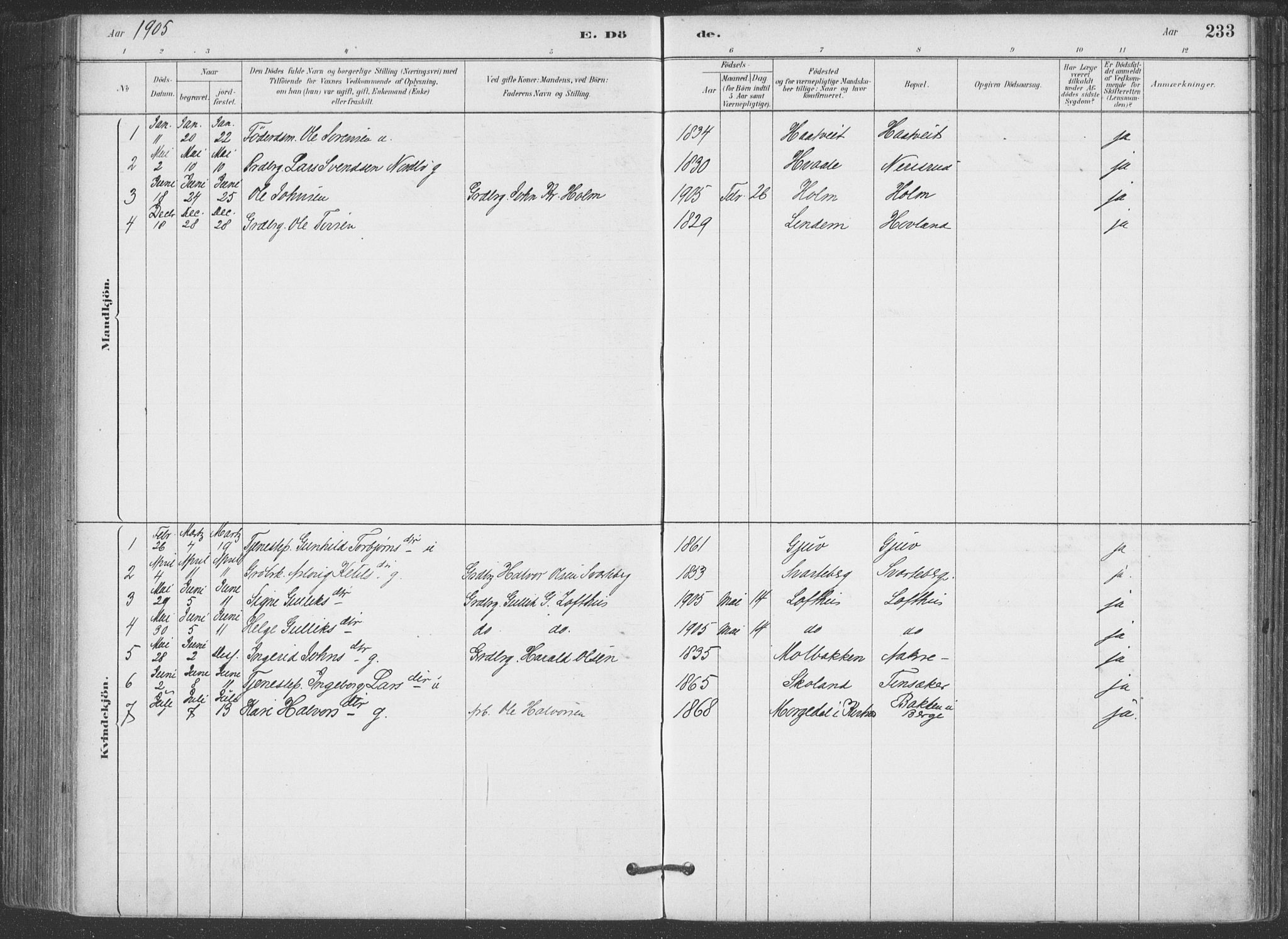 Hjartdal kirkebøker, SAKO/A-270/F/Fa/L0010: Parish register (official) no. I 10, 1880-1929, p. 233