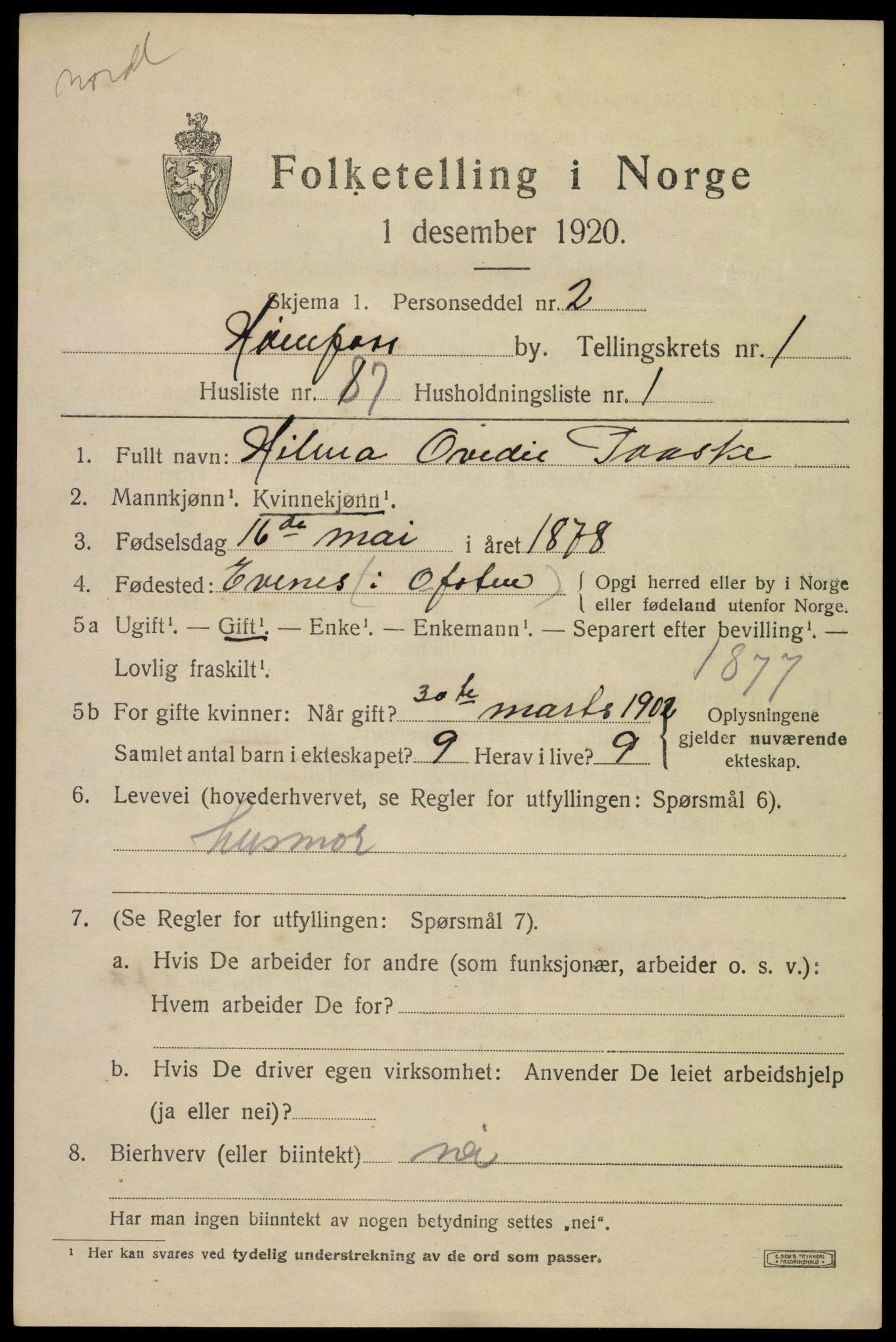 SAKO, 1920 census for Hønefoss, 1920, p. 3814
