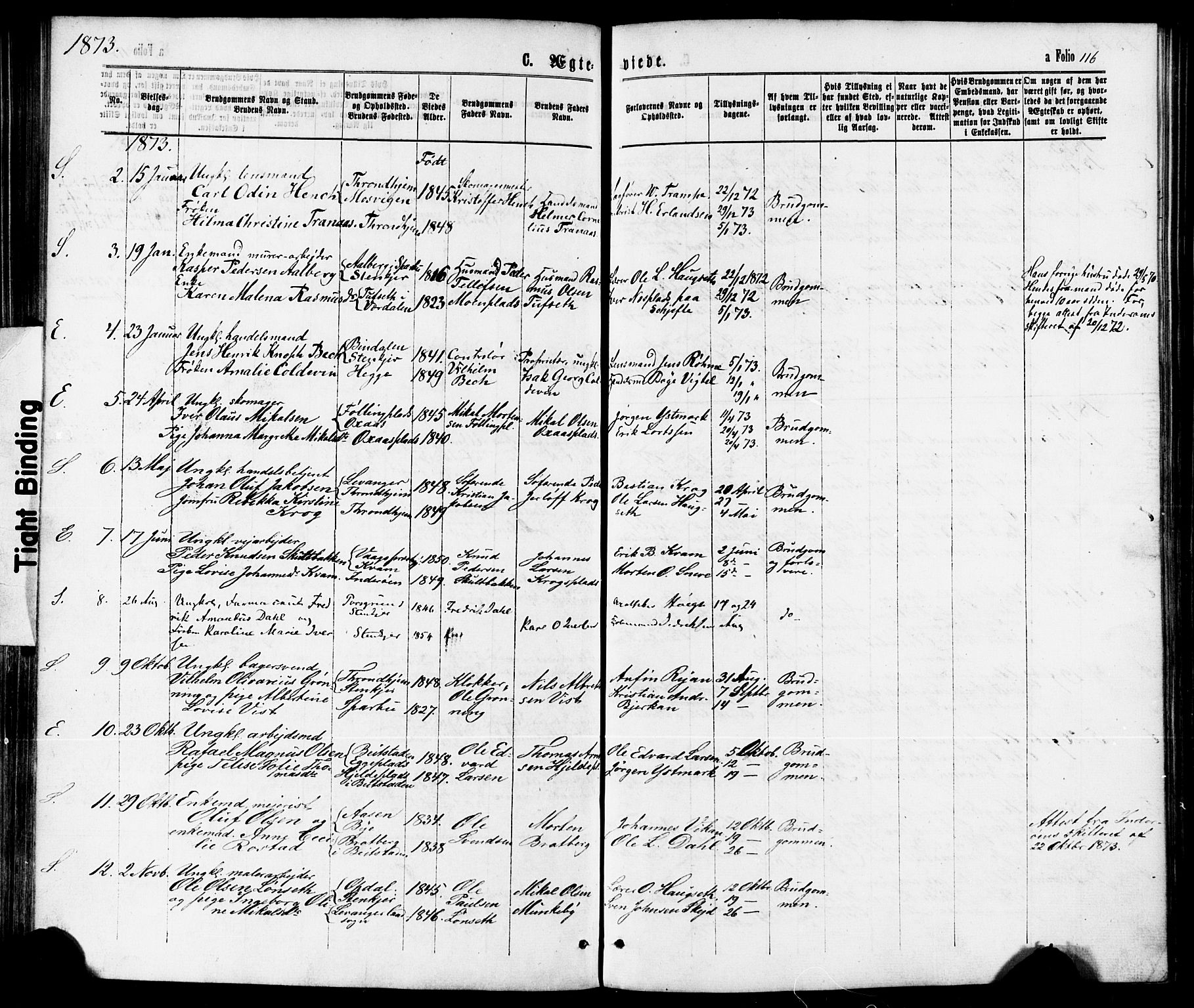 Ministerialprotokoller, klokkerbøker og fødselsregistre - Nord-Trøndelag, SAT/A-1458/739/L0370: Parish register (official) no. 739A02, 1868-1881, p. 116