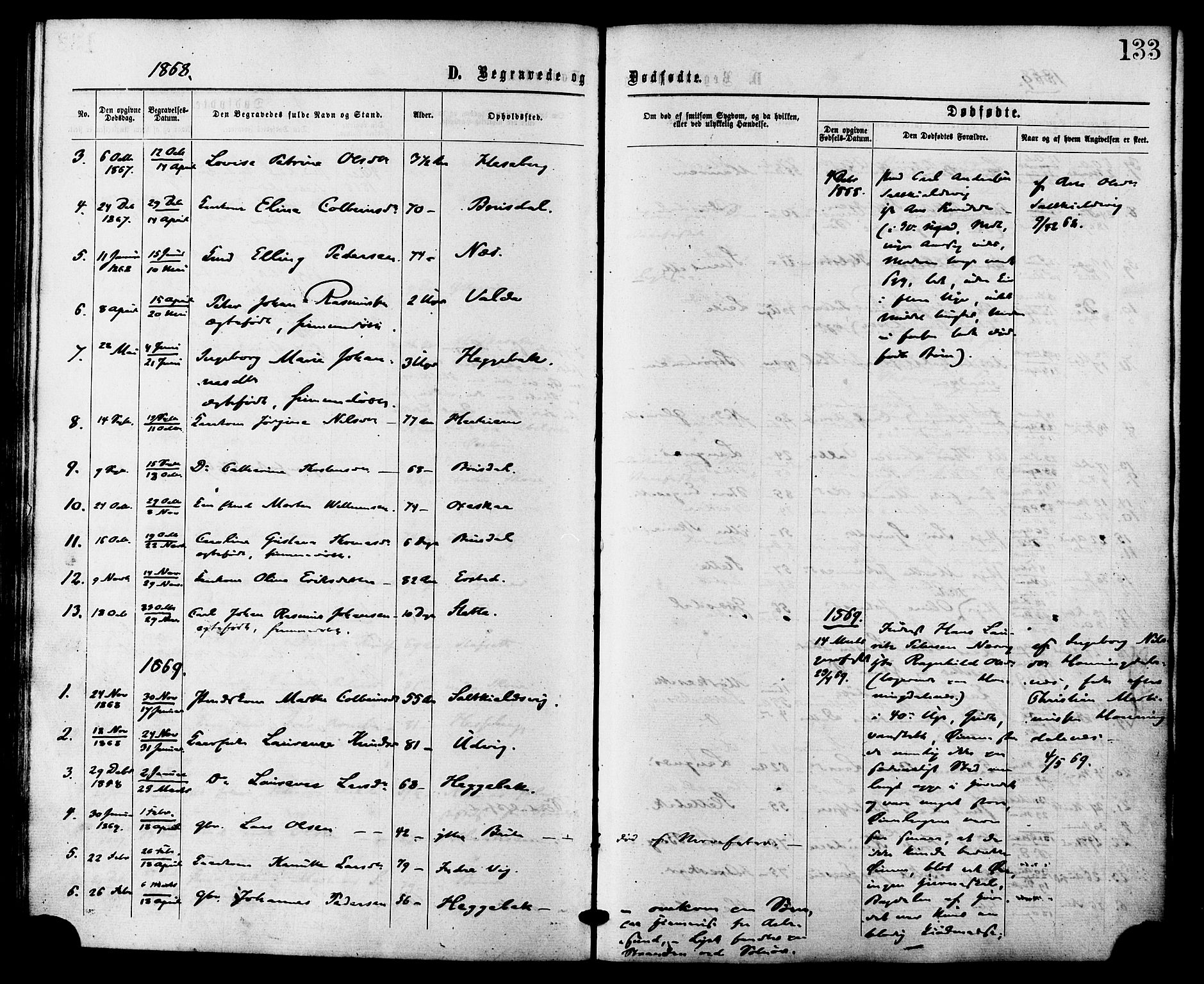 Ministerialprotokoller, klokkerbøker og fødselsregistre - Møre og Romsdal, AV/SAT-A-1454/524/L0355: Parish register (official) no. 524A07, 1864-1879, p. 133