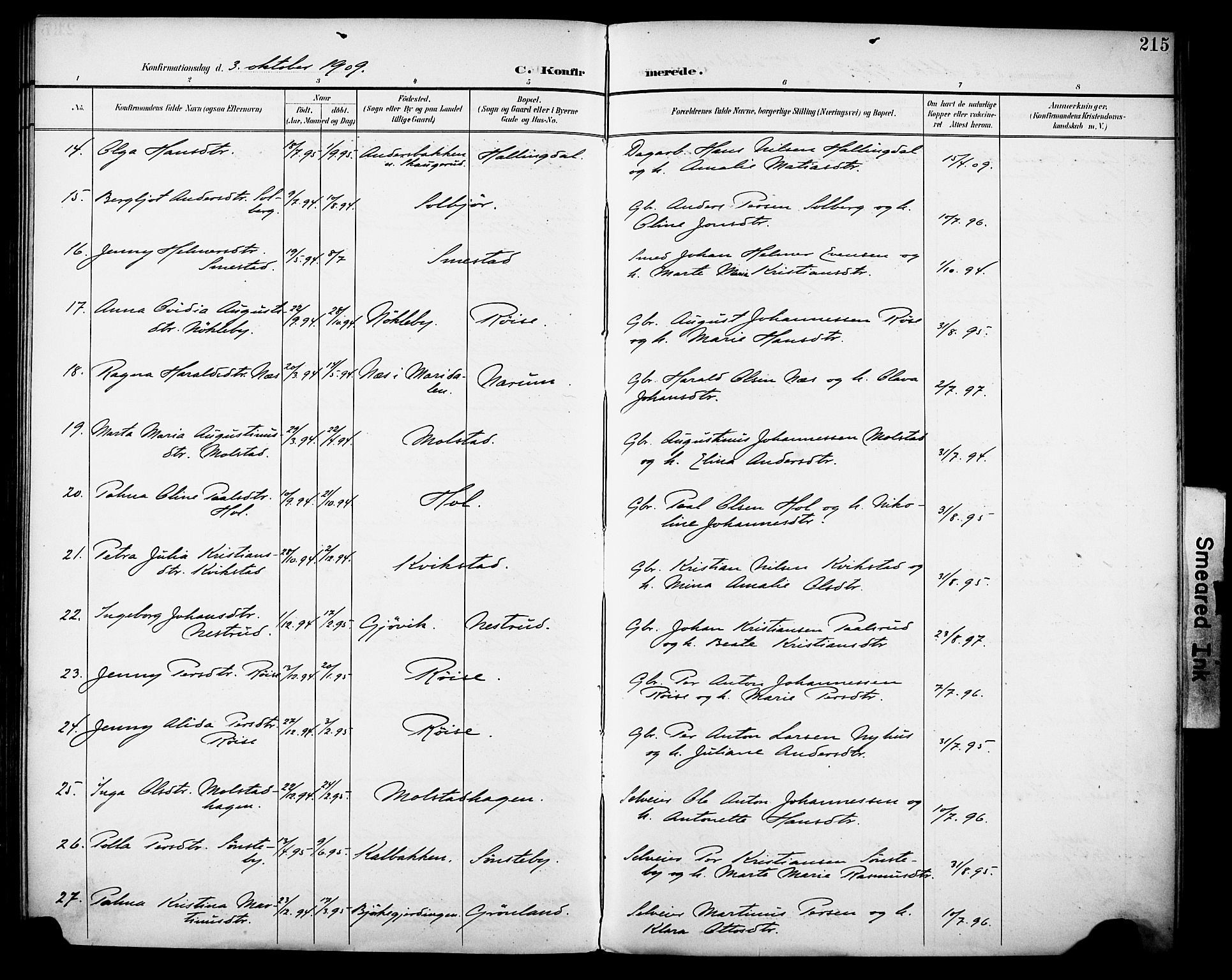Vestre Toten prestekontor, SAH/PREST-108/H/Ha/Haa/L0013: Parish register (official) no. 13, 1895-1911, p. 215