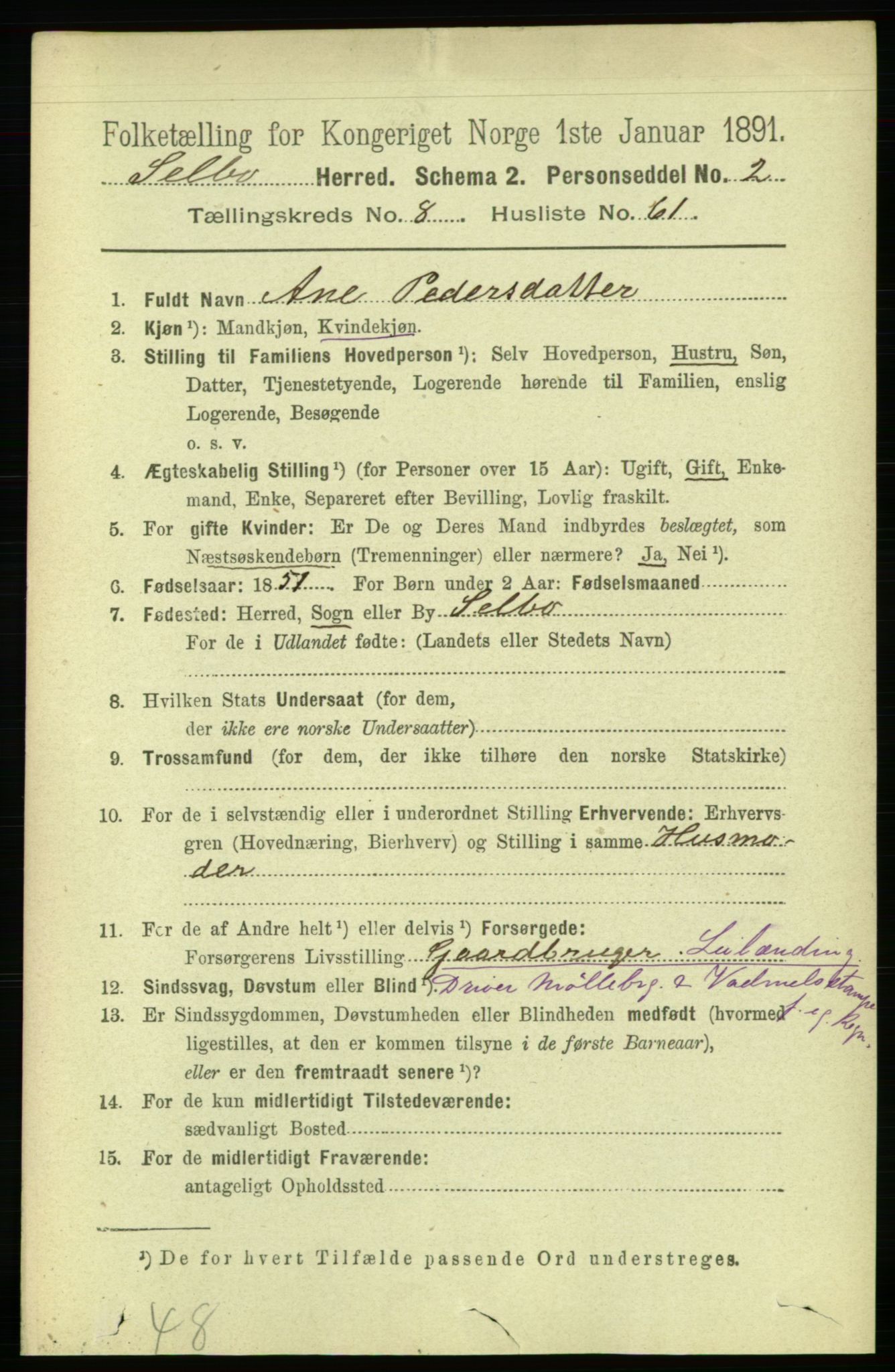 RA, 1891 census for 1664 Selbu, 1891, p. 3295