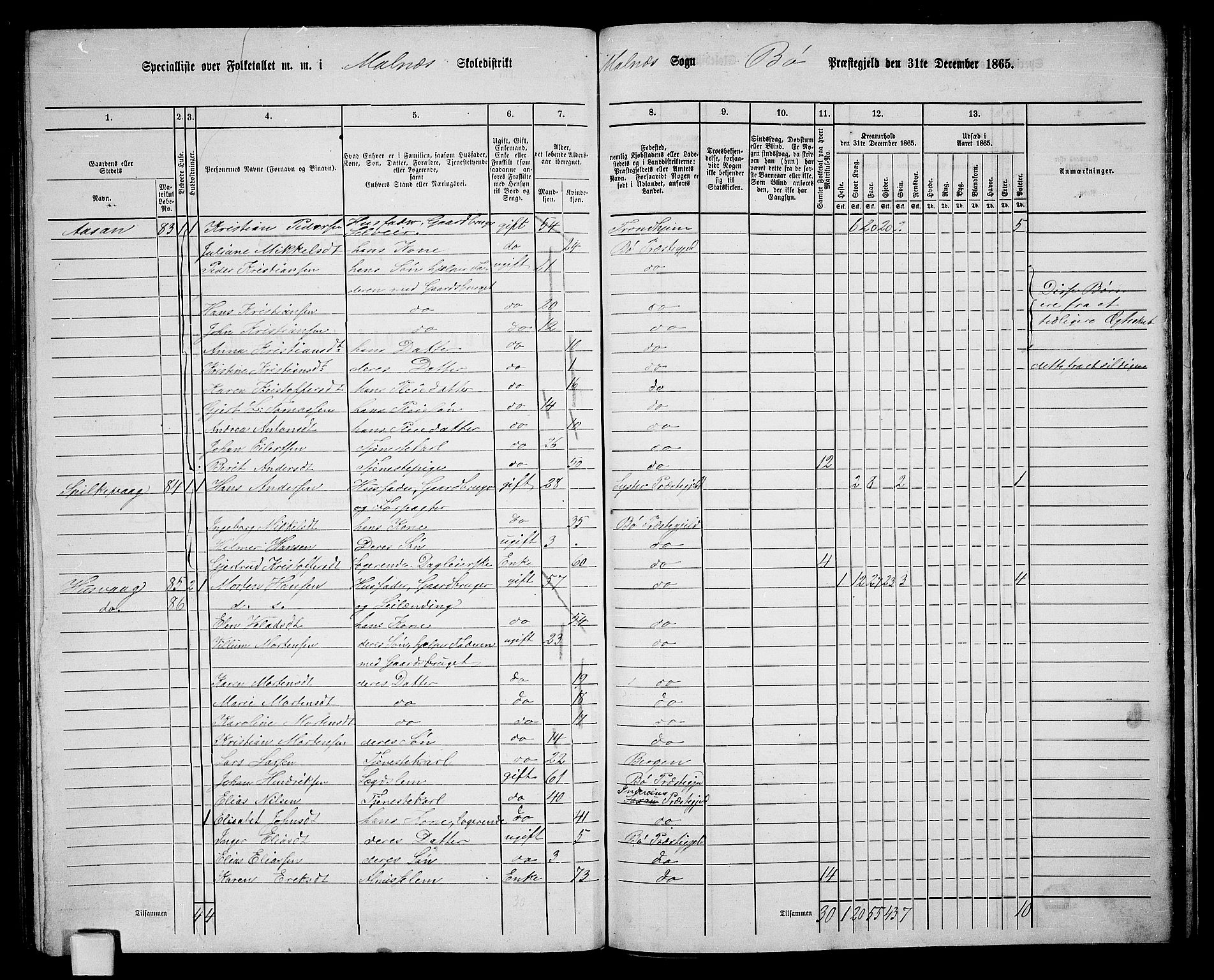 RA, 1865 census for Bø, 1865, p. 52