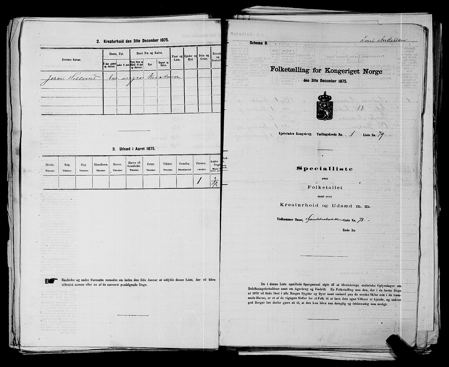 SAKO, 1875 census for 0604B Kongsberg/Kongsberg, 1875, p. 204