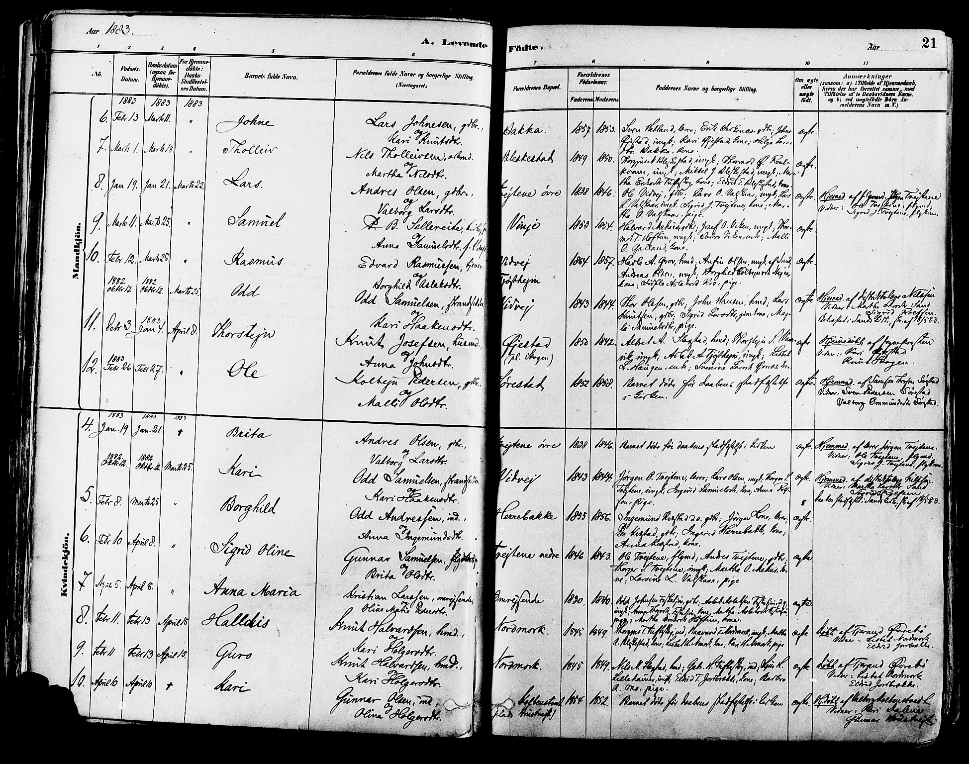 Suldal sokneprestkontor, AV/SAST-A-101845/01/IV/L0011: Parish register (official) no. A 11, 1878-1900, p. 21