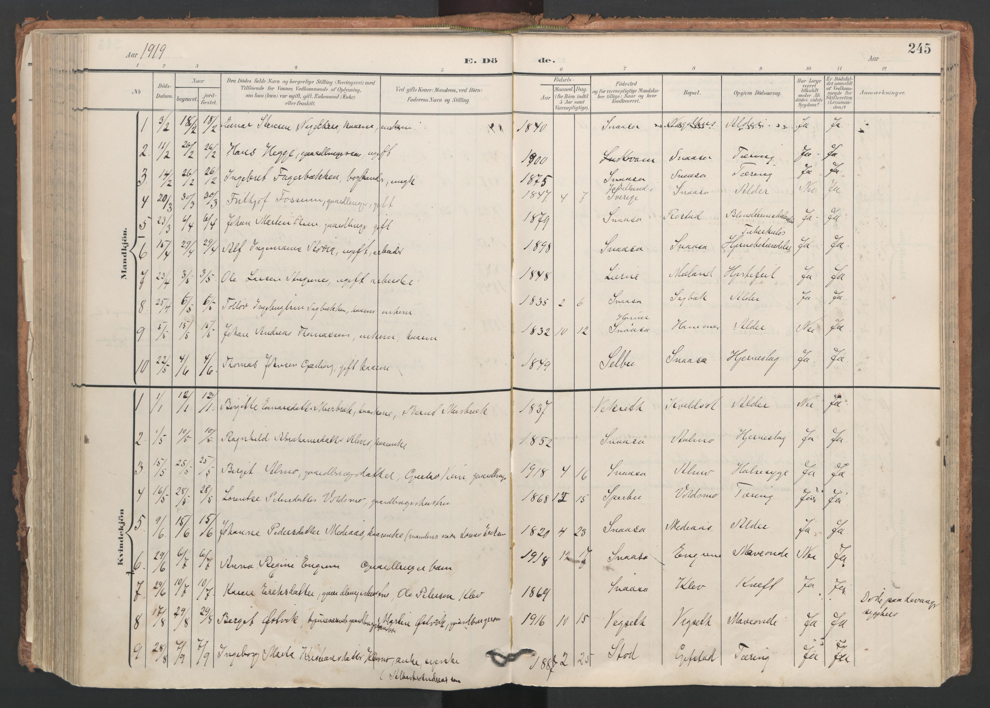 Ministerialprotokoller, klokkerbøker og fødselsregistre - Nord-Trøndelag, AV/SAT-A-1458/749/L0477: Parish register (official) no. 749A11, 1902-1927, p. 245