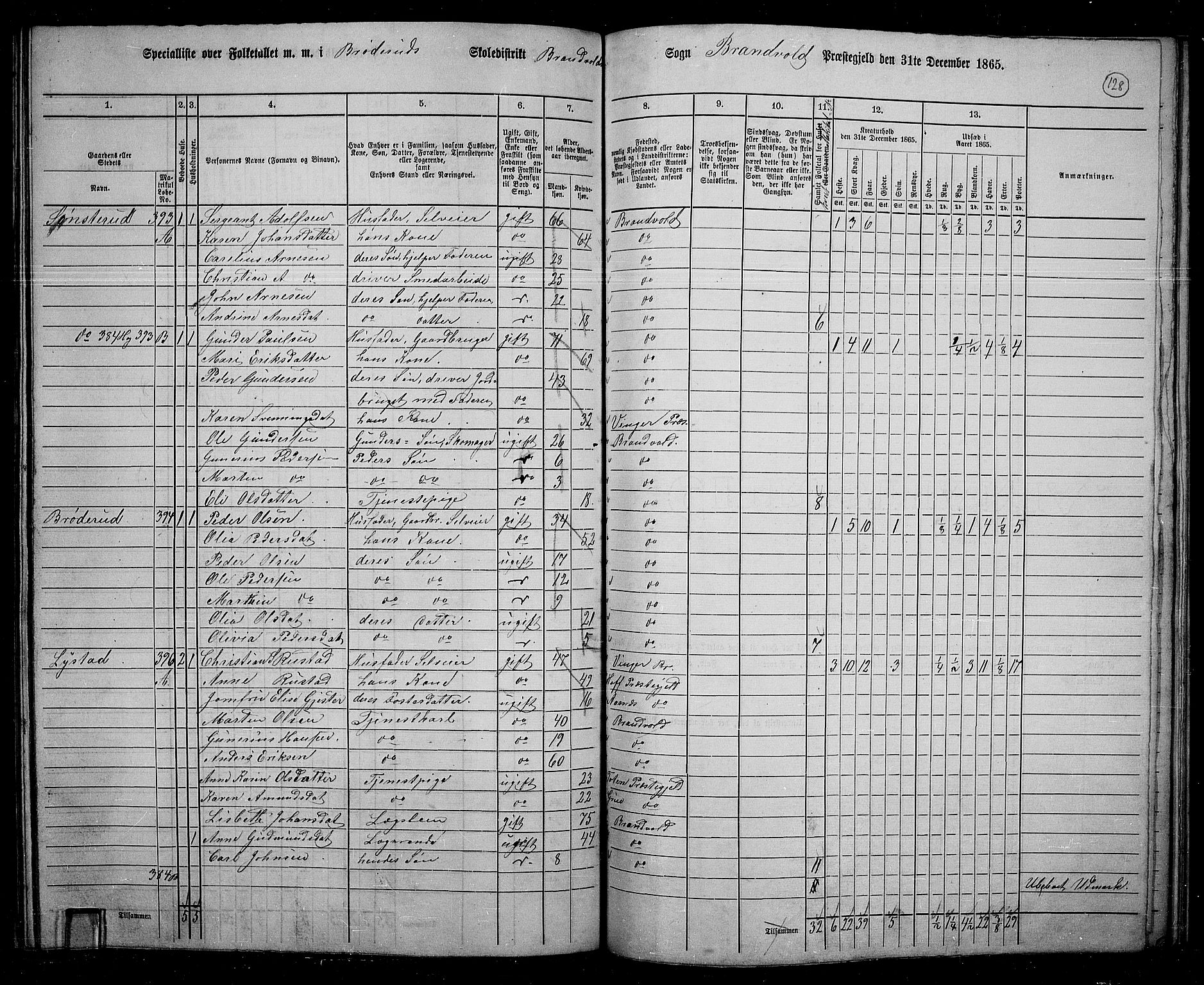 RA, 1865 census for Brandval, 1865, p. 109