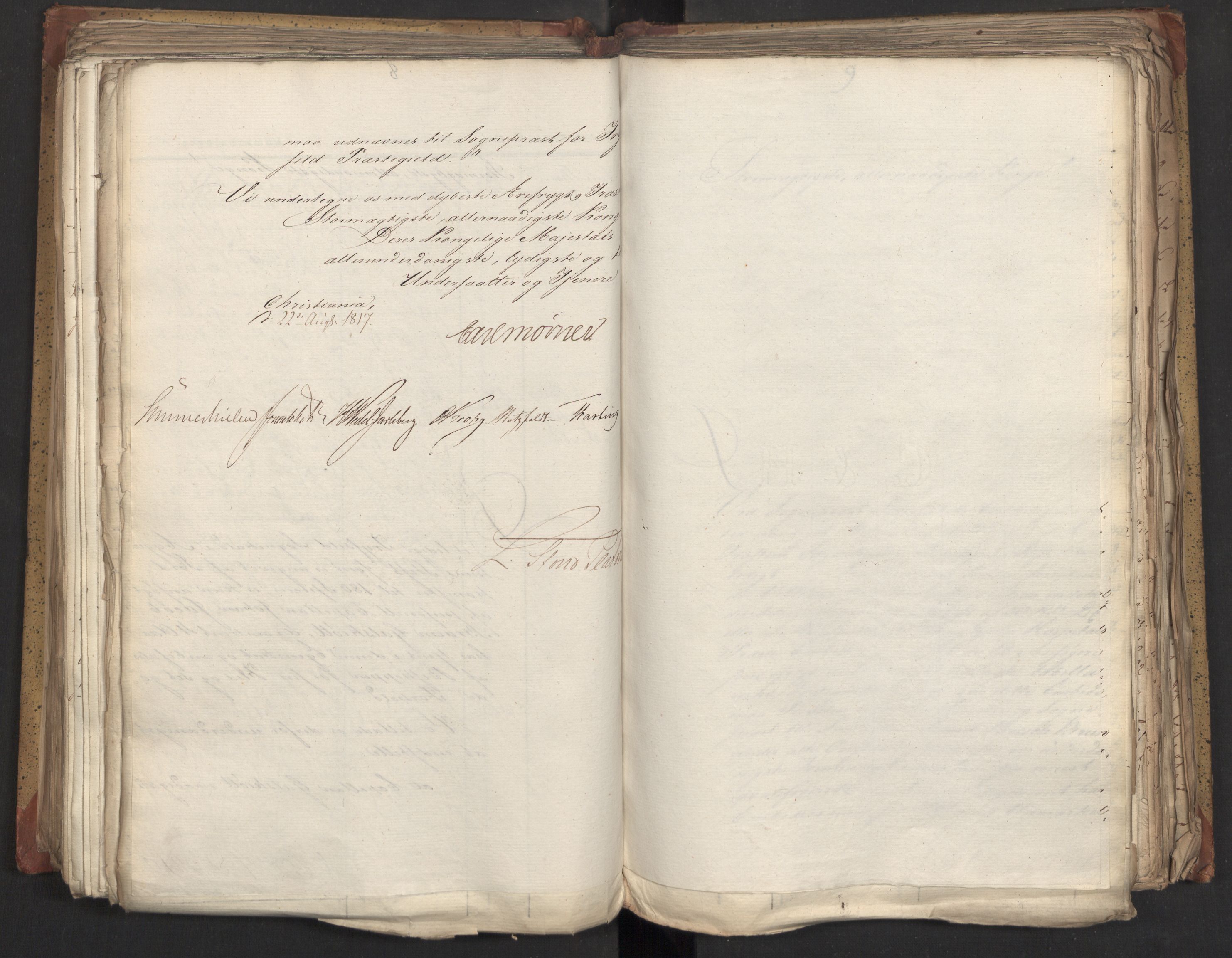 Statsrådsavdelingen i Stockholm, RA/S-1003/D/Da/L0010: Regjeringsinnstillinger nr. 2219-2392, 1817, p. 258