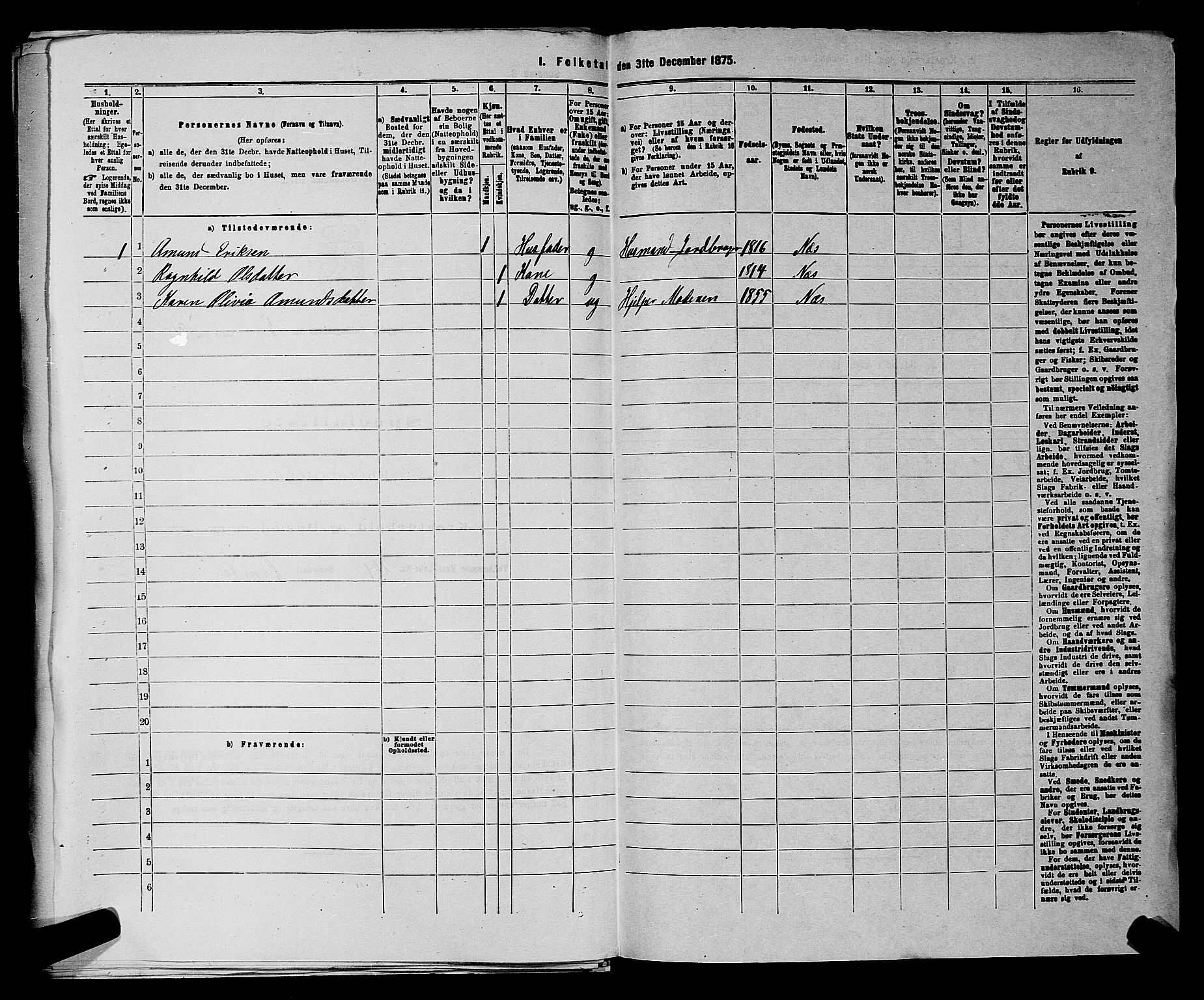 RA, 1875 census for 0236P Nes, 1875, p. 883