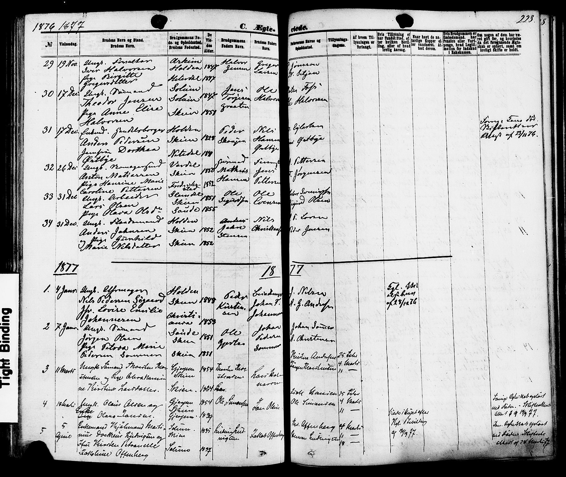 Skien kirkebøker, SAKO/A-302/F/Fa/L0008: Parish register (official) no. 8, 1866-1877, p. 223