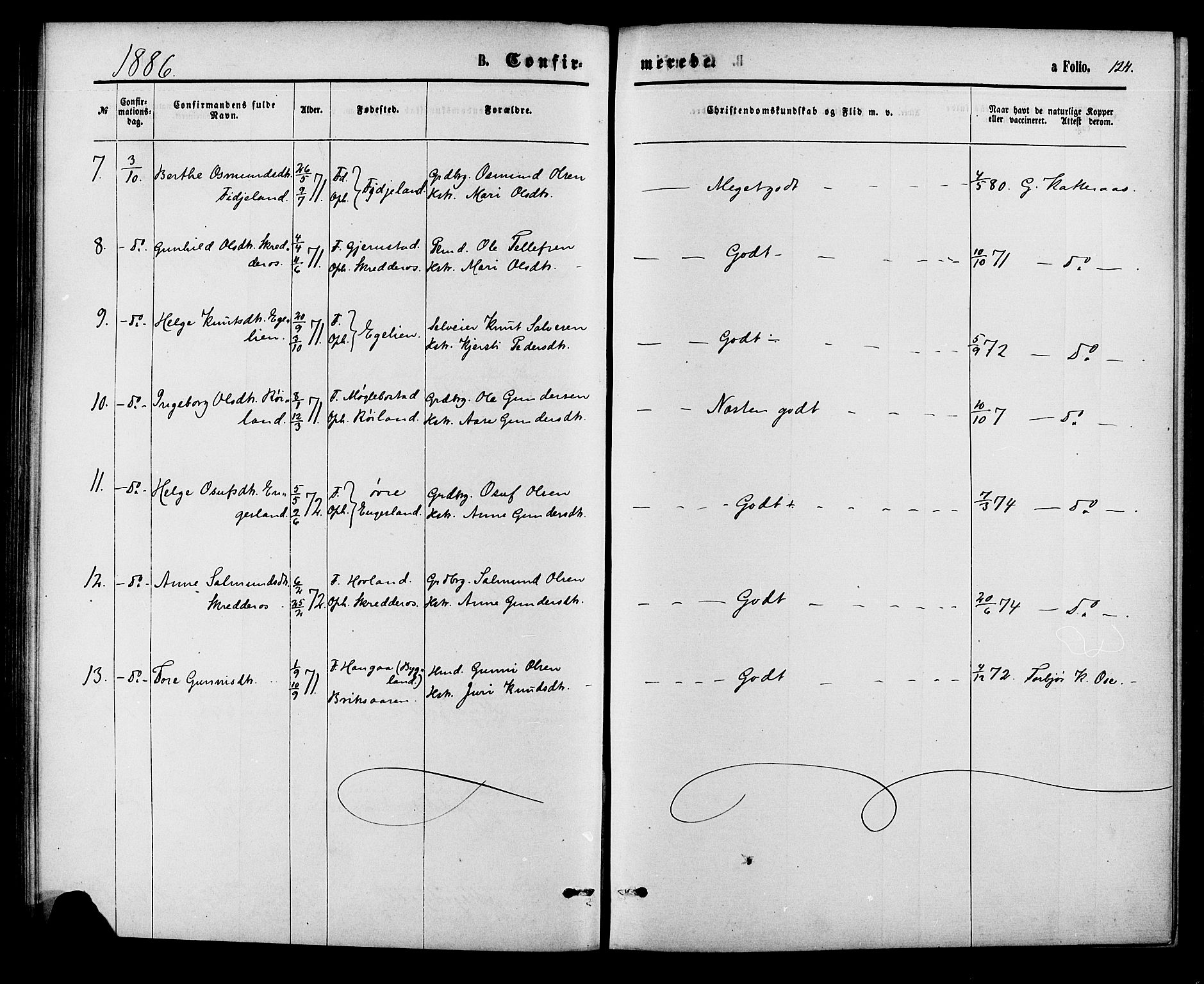 Herefoss sokneprestkontor, AV/SAK-1111-0019/F/Fa/Fab/L0003: Parish register (official) no. A 3, 1875-1886, p. 124