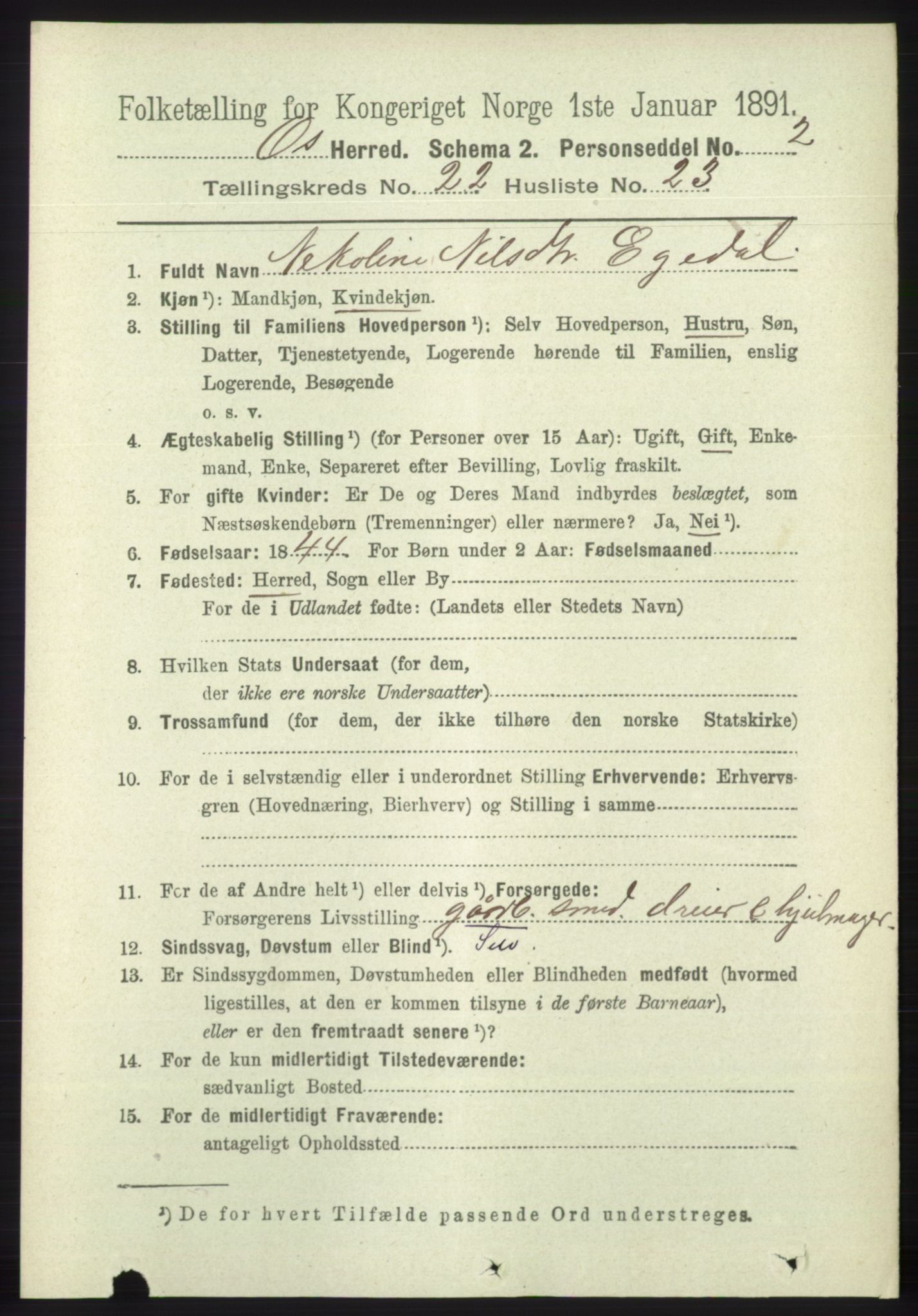 RA, 1891 census for 1243 Os, 1891, p. 5031