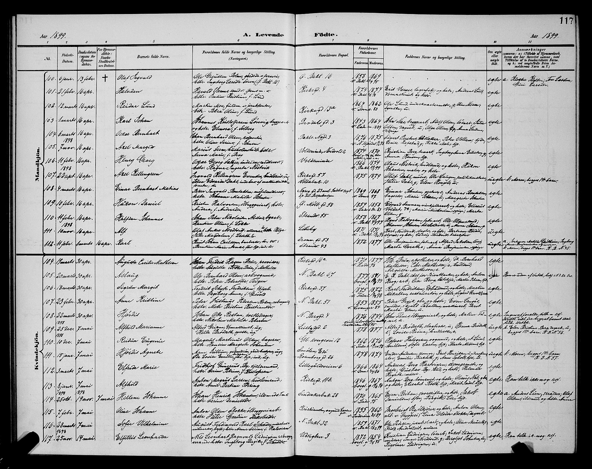 Ministerialprotokoller, klokkerbøker og fødselsregistre - Sør-Trøndelag, AV/SAT-A-1456/604/L0225: Parish register (copy) no. 604C08, 1895-1899, p. 117