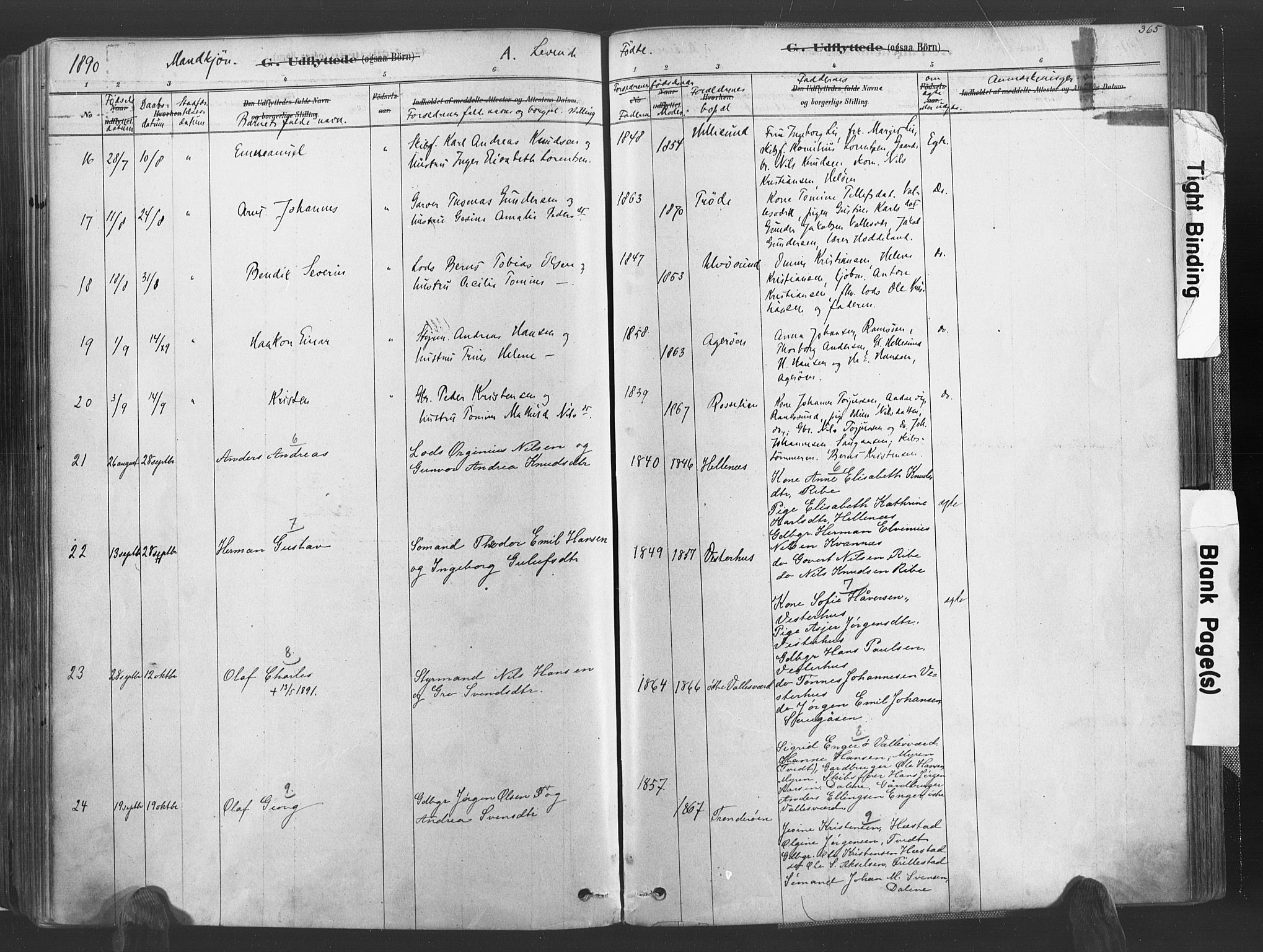 Høvåg sokneprestkontor, AV/SAK-1111-0025/F/Fa/L0005: Parish register (official) no. A 5, 1878-1893, p. 365