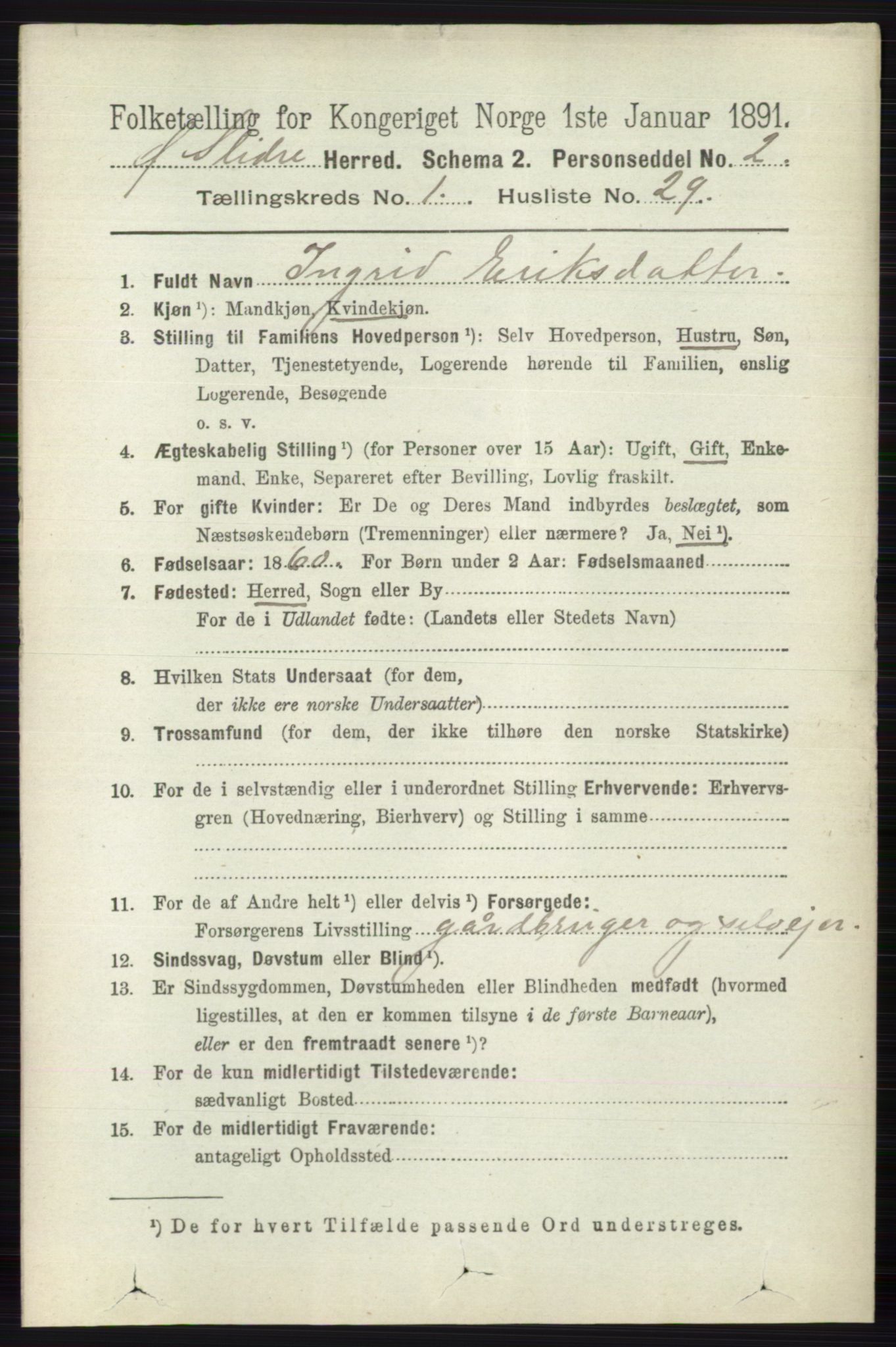 RA, 1891 census for 0544 Øystre Slidre, 1891, p. 213