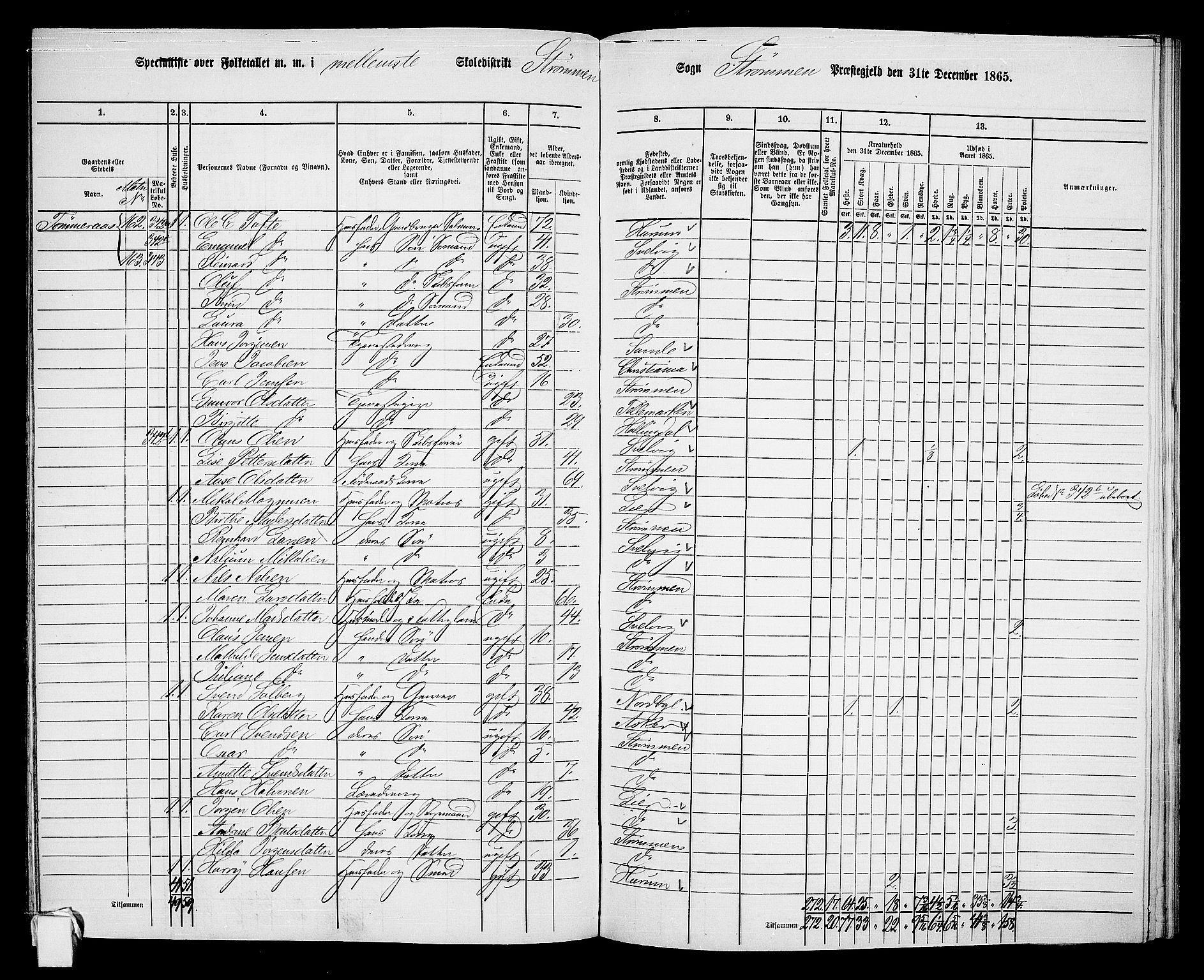 RA, 1865 census for Strømm, 1865, p. 25