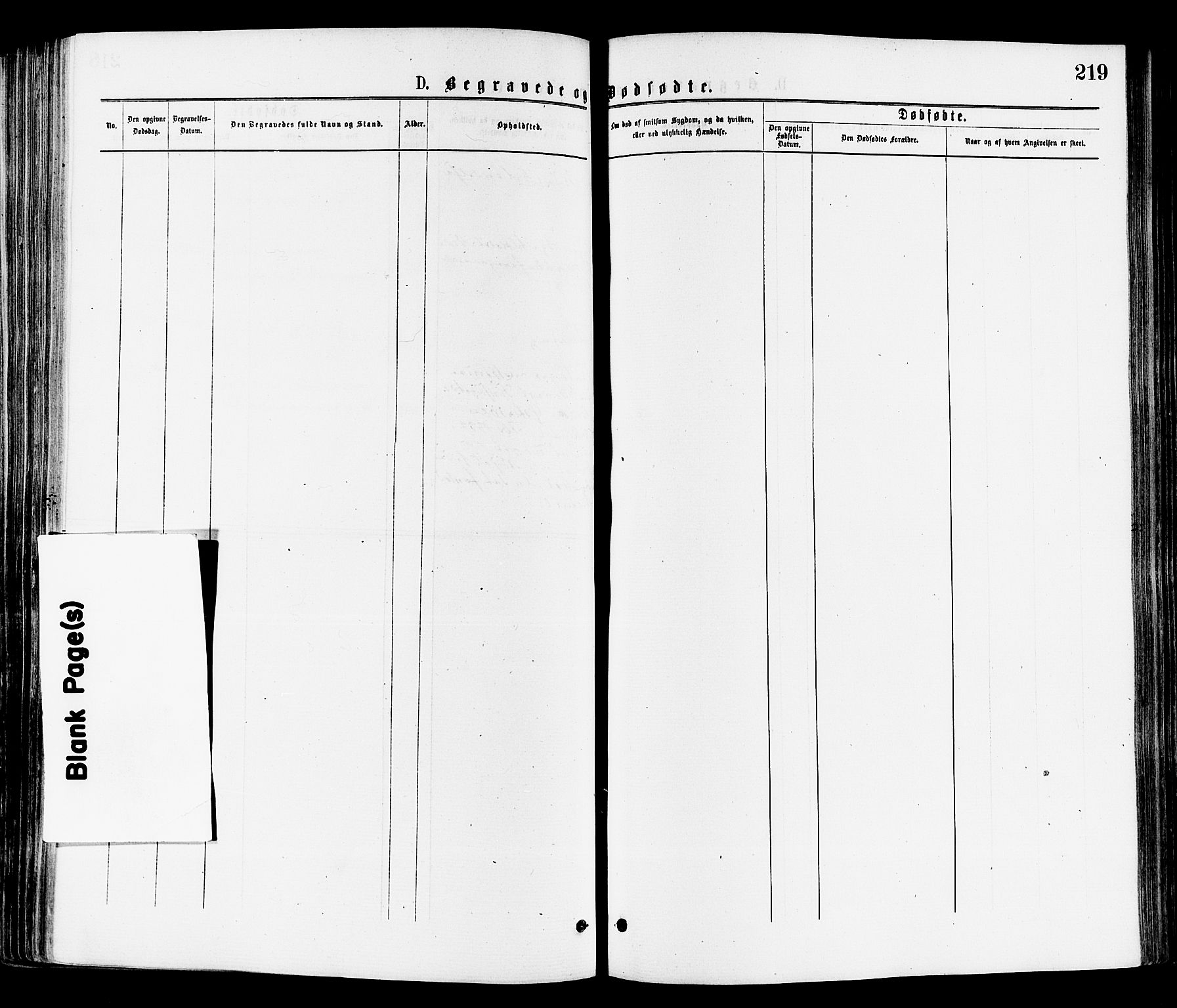 Sandar kirkebøker, AV/SAKO-A-243/F/Fa/L0011: Parish register (official) no. 11, 1872-1882, p. 219