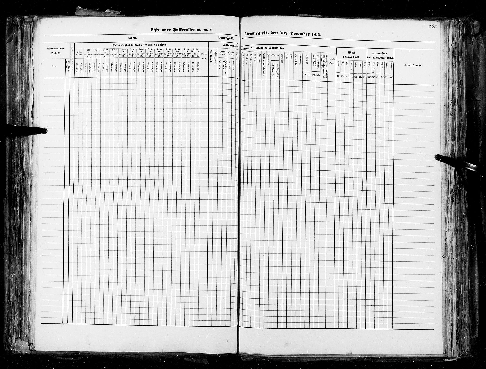 RA, Census 1845, vol. 4: Buskerud amt og Jarlsberg og Larvik amt, 1845, p. 260