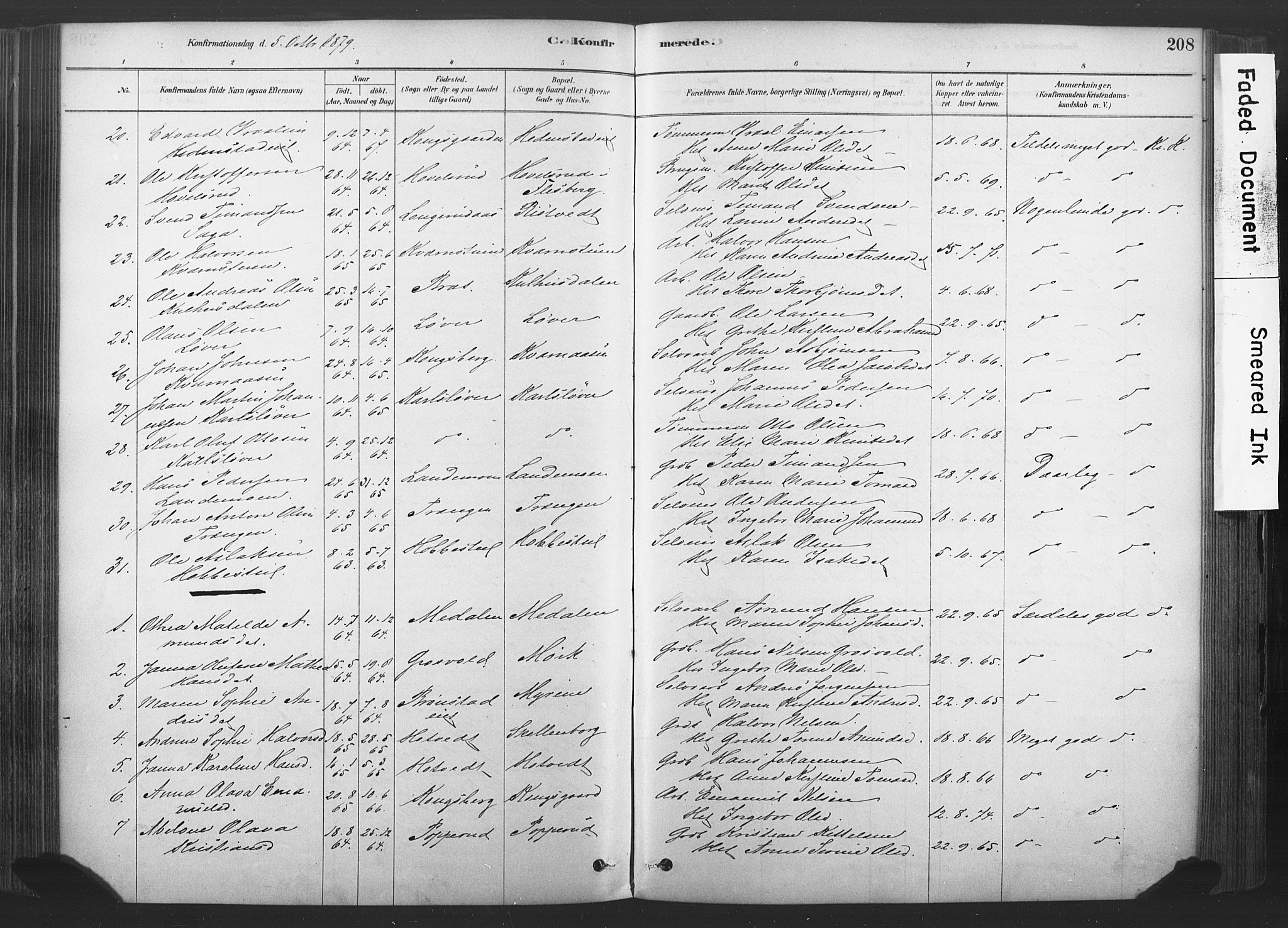 Sandsvær kirkebøker, AV/SAKO-A-244/F/Fd/L0001: Parish register (official) no. IV 1, 1878-1906, p. 208