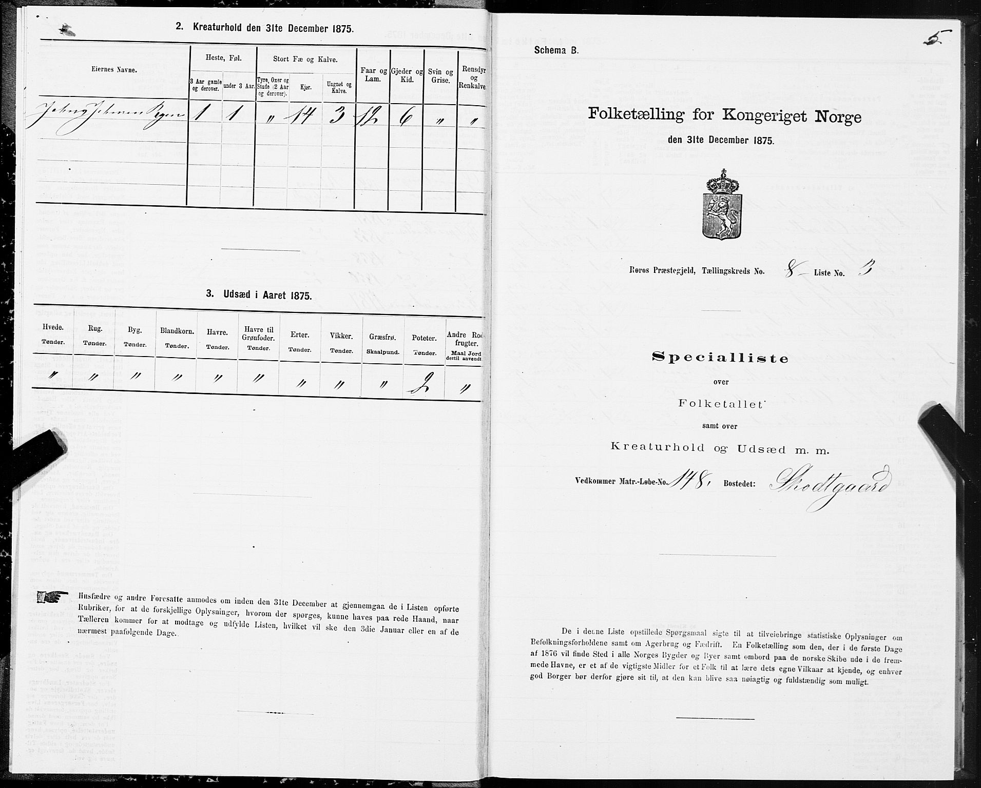 SAT, 1875 census for 1640P Røros, 1875, p. 5005