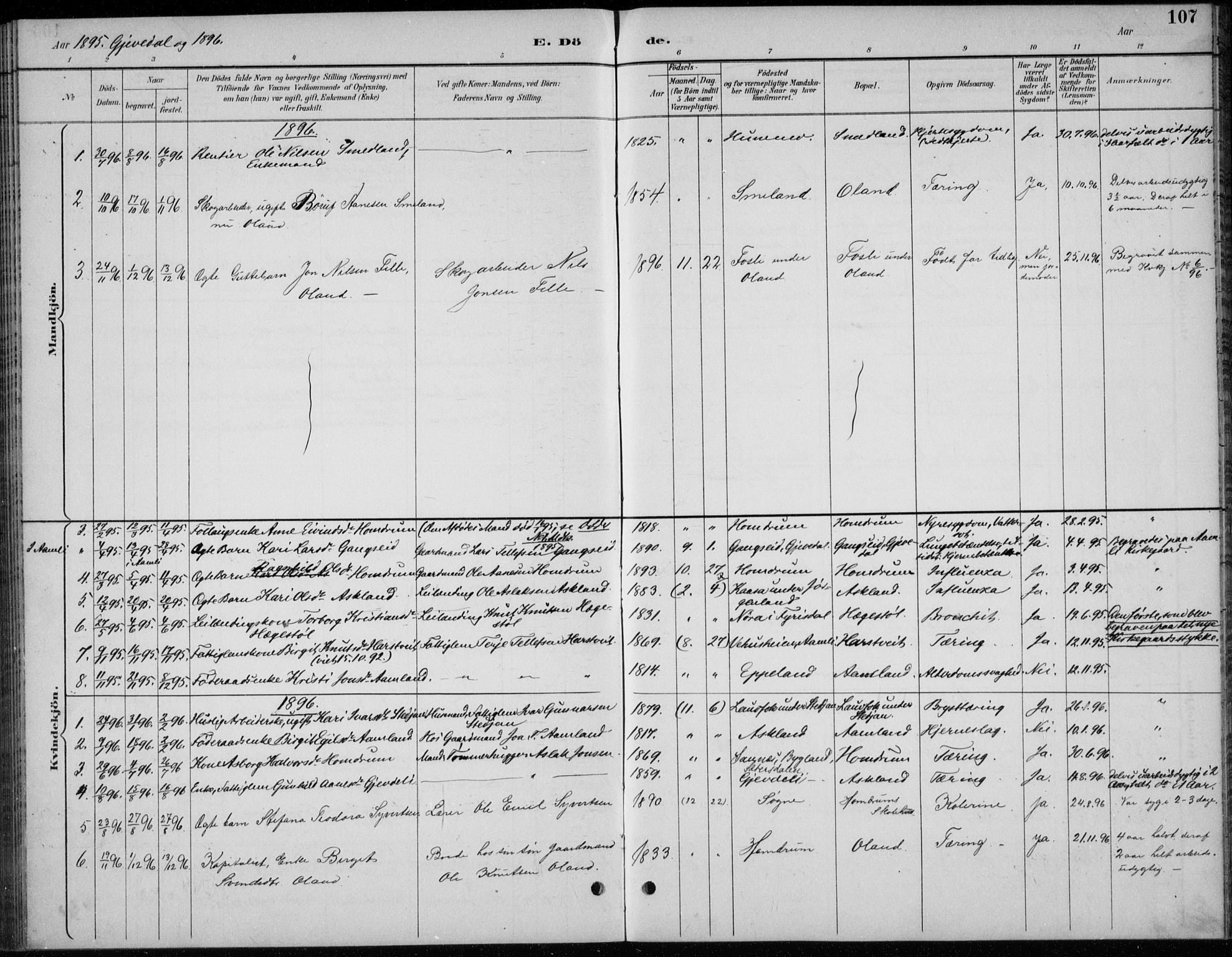 Åmli sokneprestkontor, AV/SAK-1111-0050/F/Fb/Fba/L0002: Parish register (copy) no. B 2, 1890-1912, p. 107