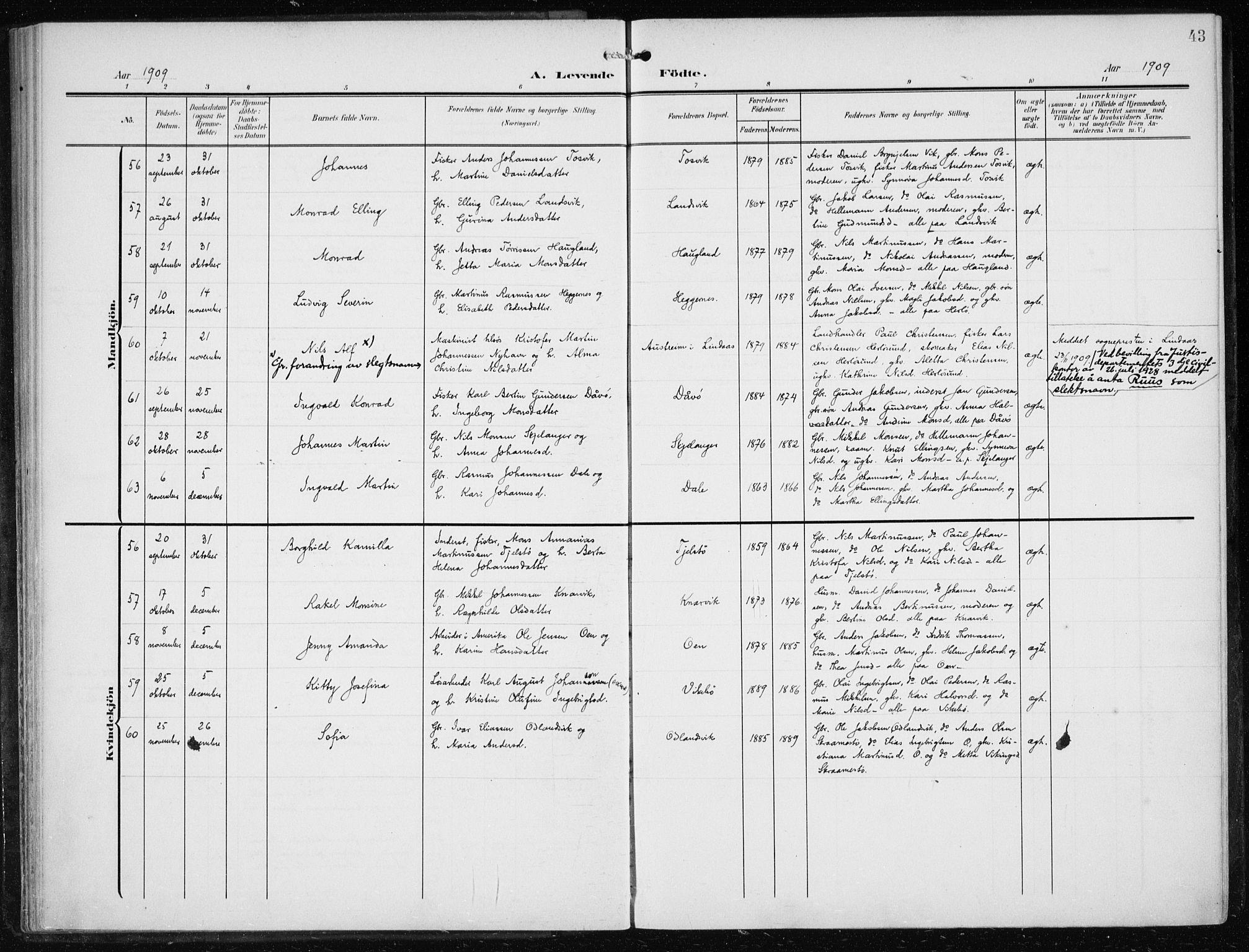 Herdla Sokneprestembete, AV/SAB-A-75701/H/Haa: Parish register (official) no. A 5, 1905-1918, p. 43