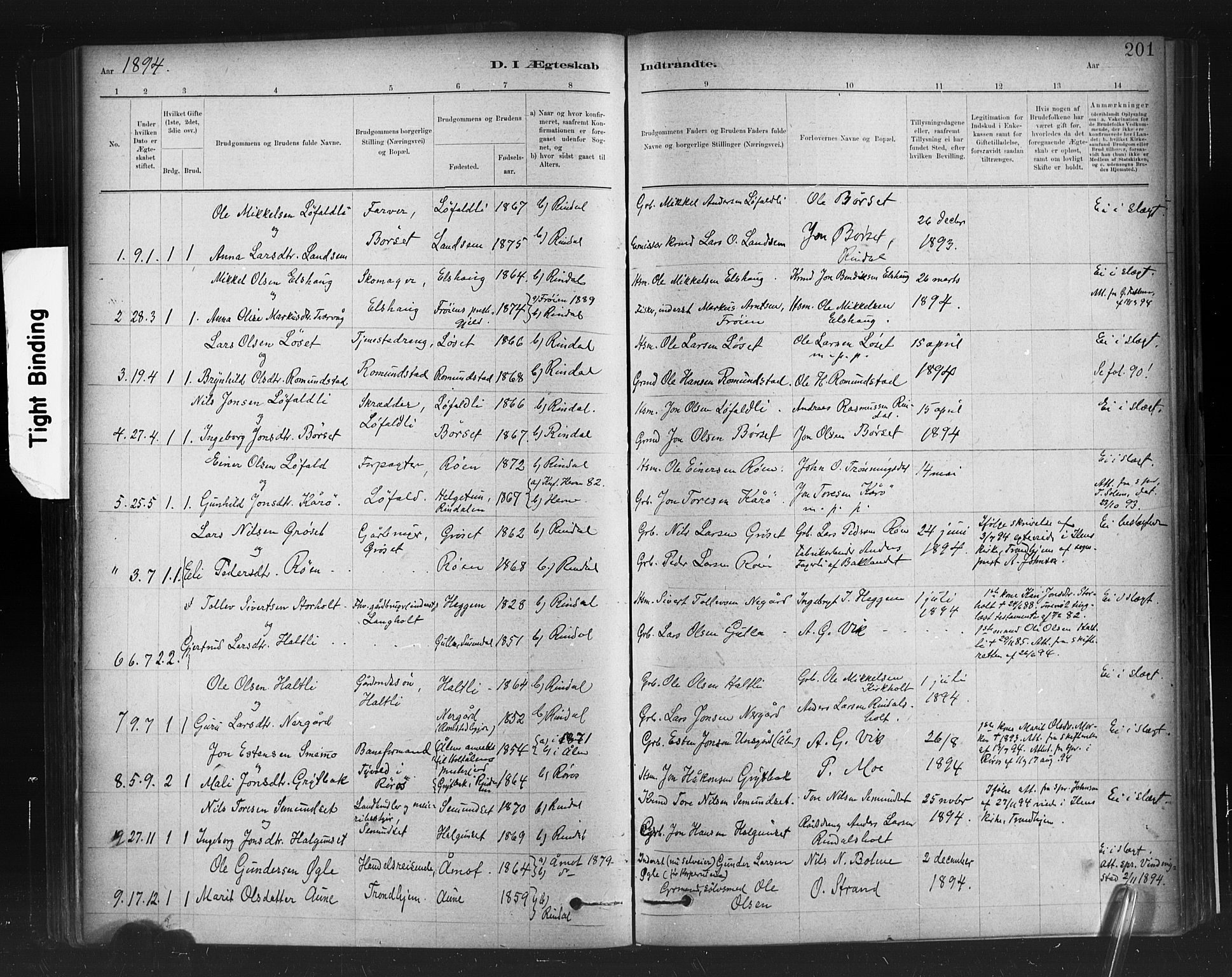 Ministerialprotokoller, klokkerbøker og fødselsregistre - Møre og Romsdal, SAT/A-1454/598/L1069: Parish register (official) no. 598A03, 1882-1895, p. 201