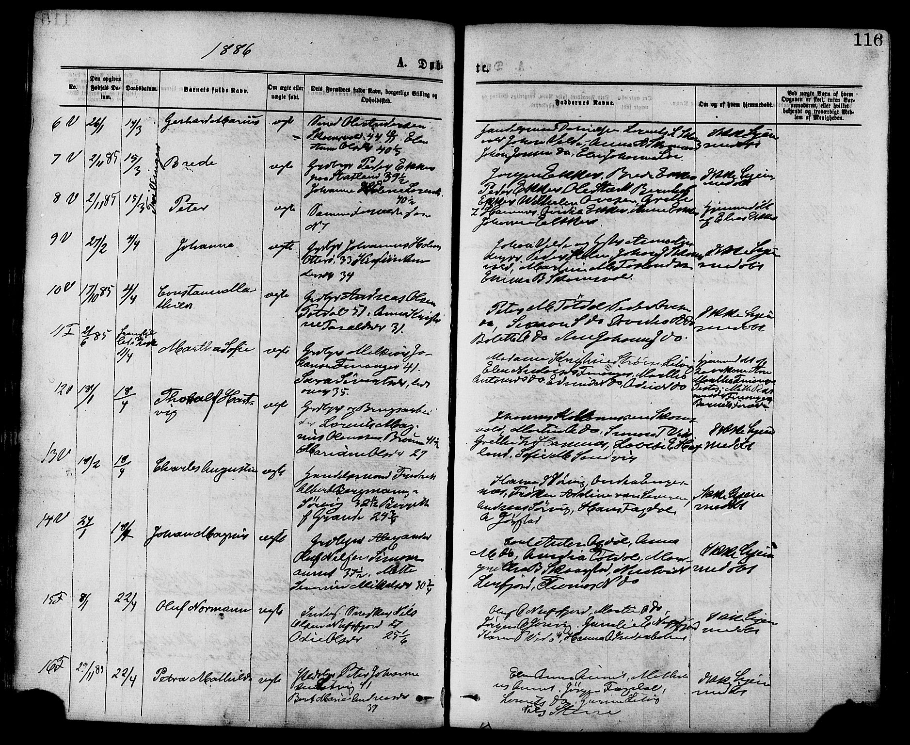 Ministerialprotokoller, klokkerbøker og fødselsregistre - Nord-Trøndelag, SAT/A-1458/773/L0616: Parish register (official) no. 773A07, 1870-1887, p. 116