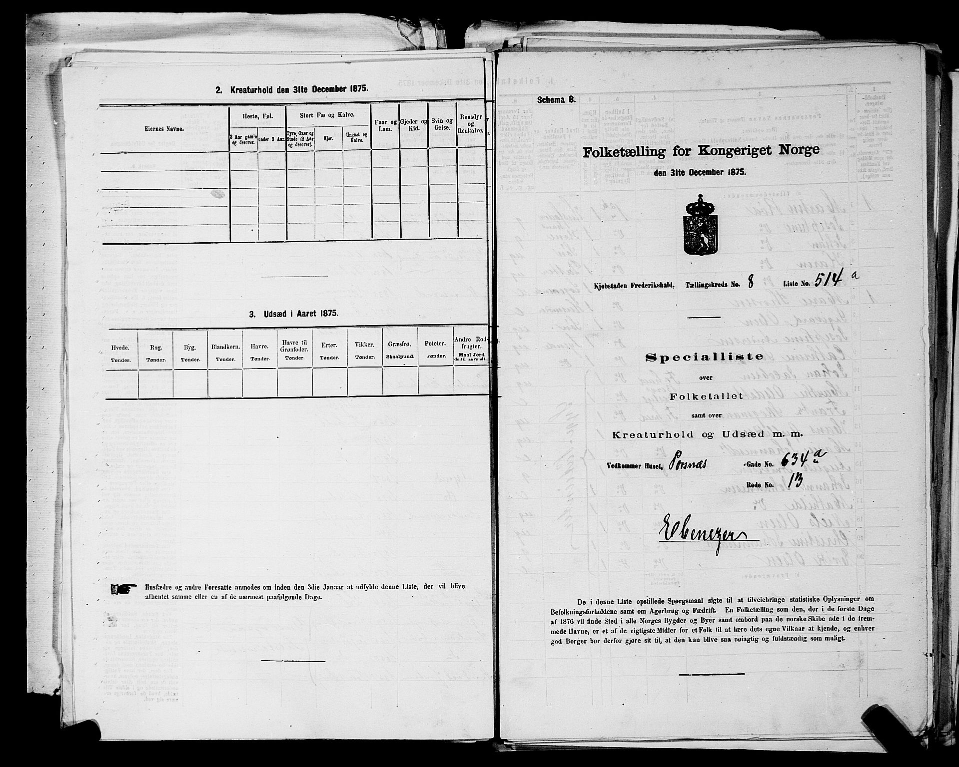 RA, 1875 census for 0101P Fredrikshald, 1875, p. 1145