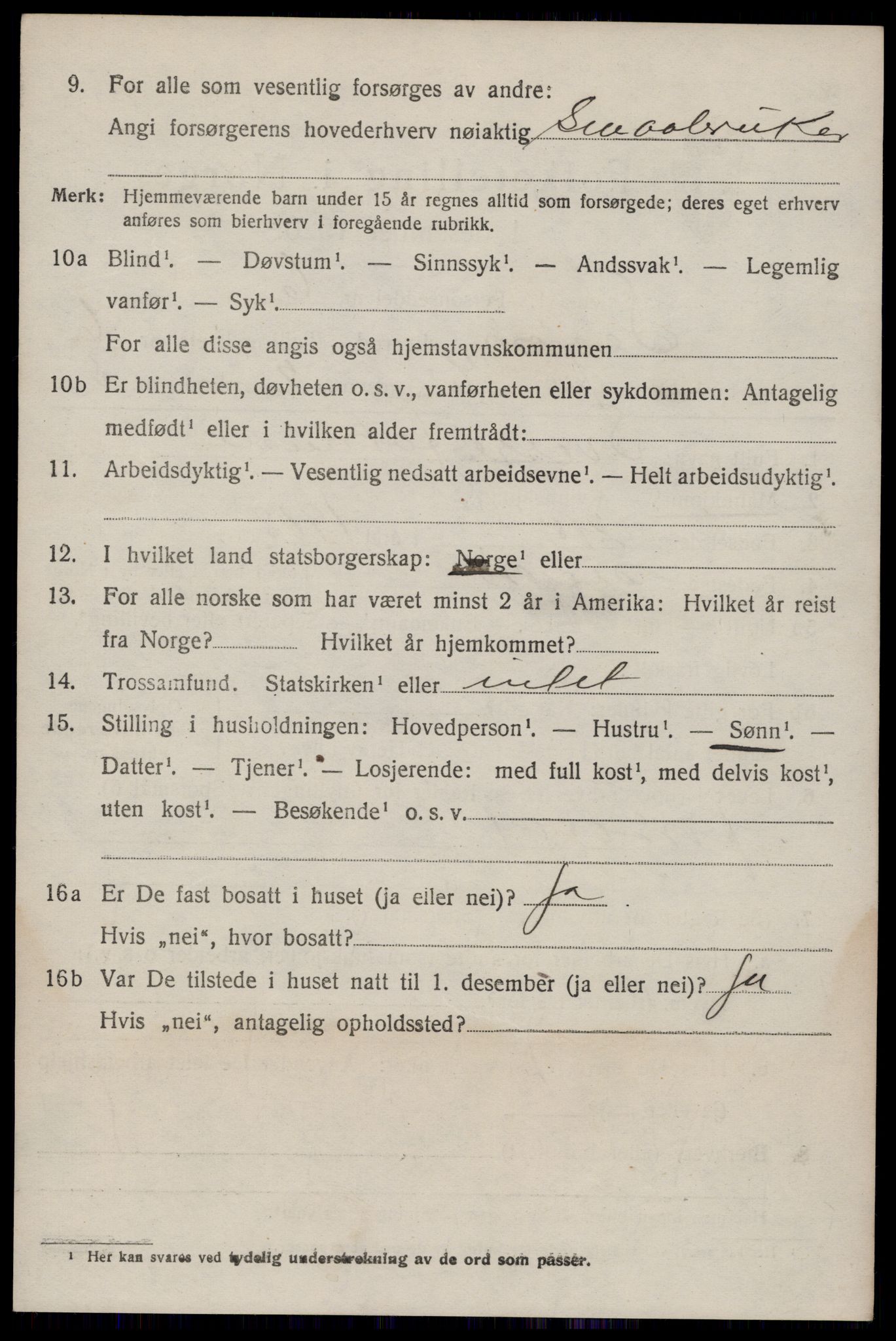 SAKO, 1920 census for Seljord, 1920, p. 3671