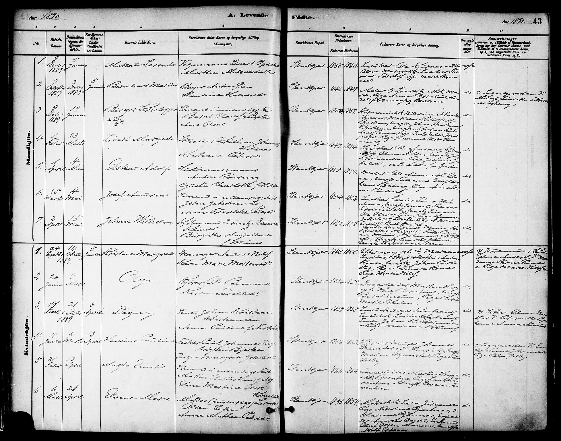 Ministerialprotokoller, klokkerbøker og fødselsregistre - Nord-Trøndelag, AV/SAT-A-1458/739/L0371: Parish register (official) no. 739A03, 1881-1895, p. 43