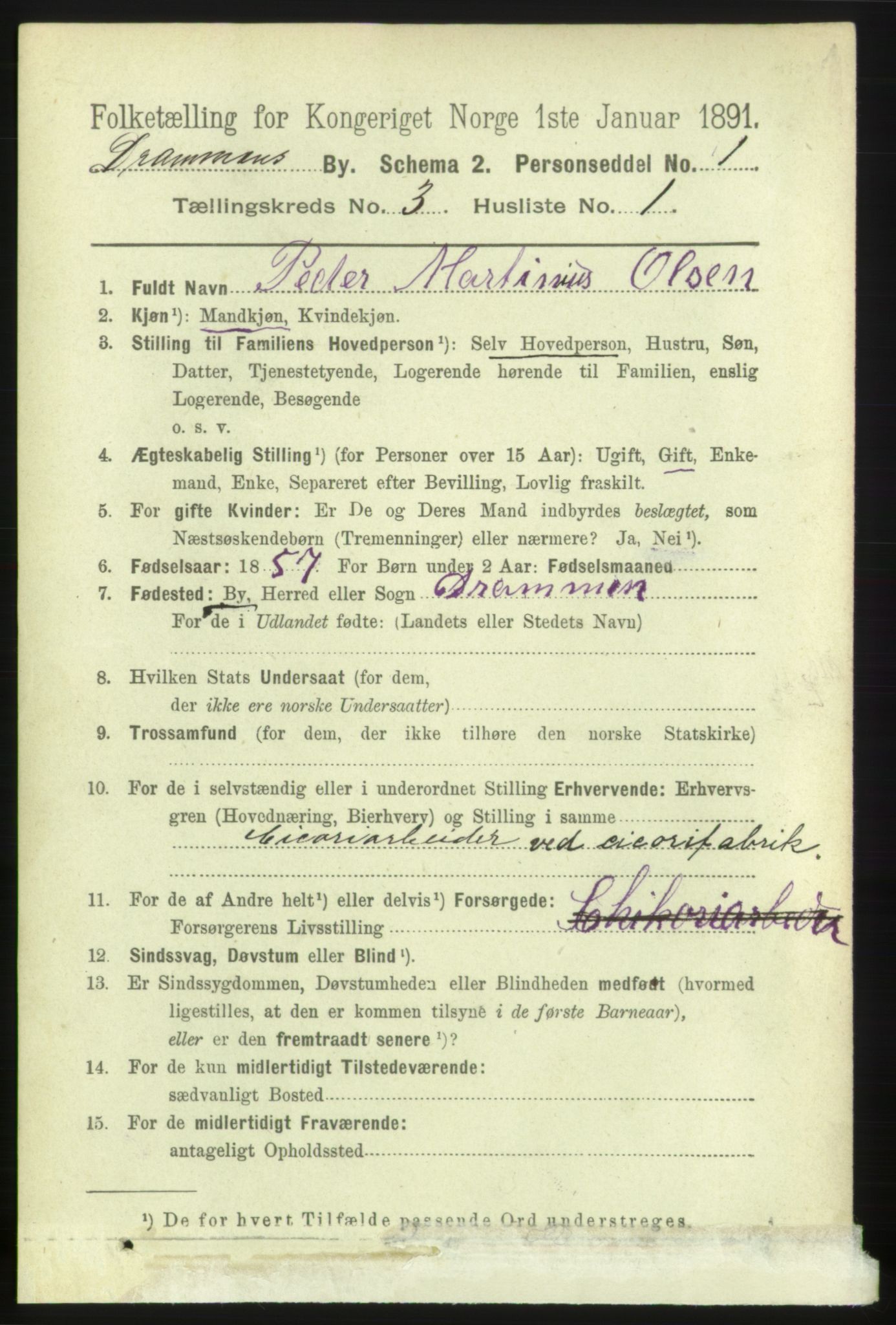 RA, 1891 census for 0602 Drammen, 1891, p. 4906