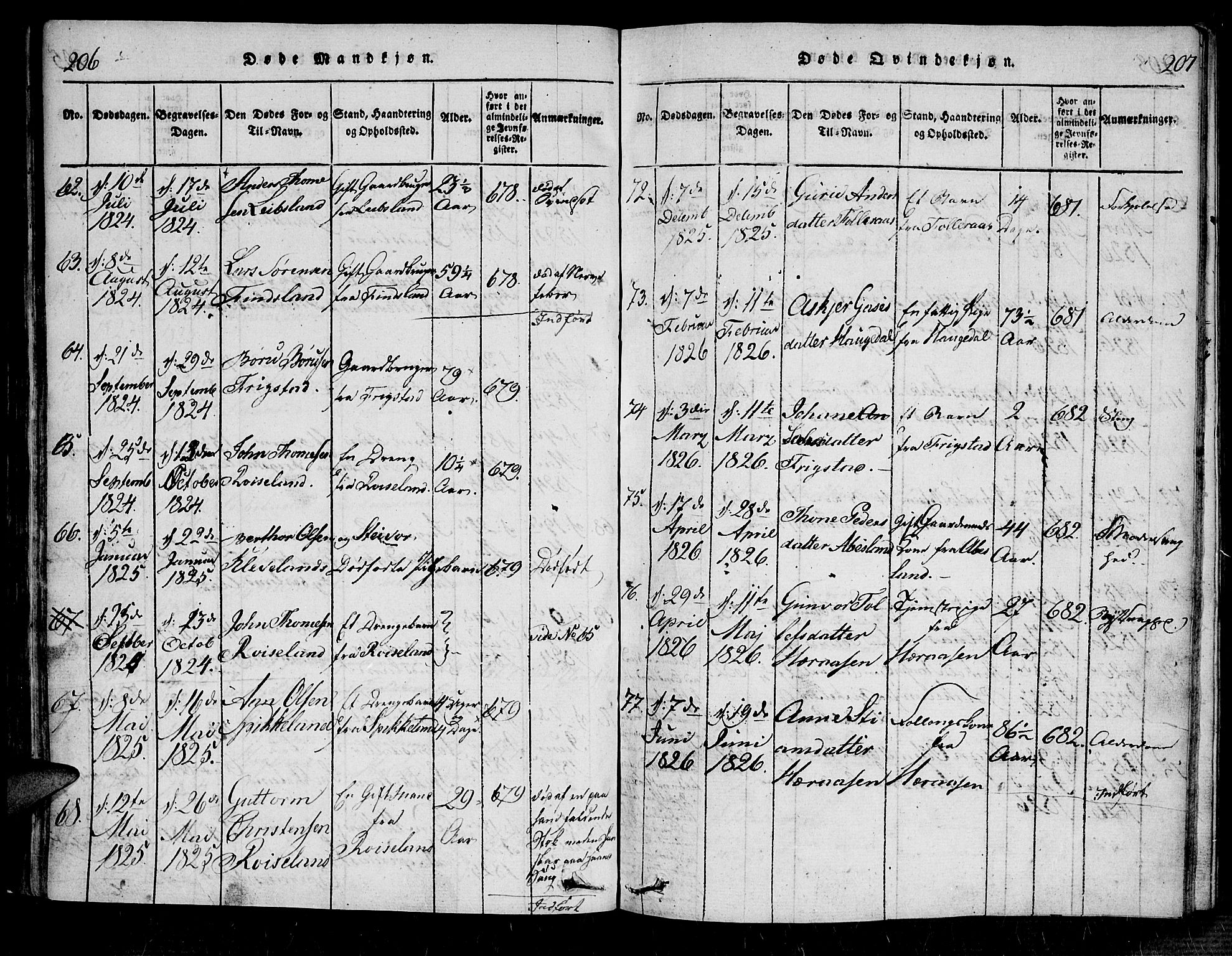 Bjelland sokneprestkontor, SAK/1111-0005/F/Fa/Fab/L0002: Parish register (official) no. A 2, 1816-1869, p. 206-207