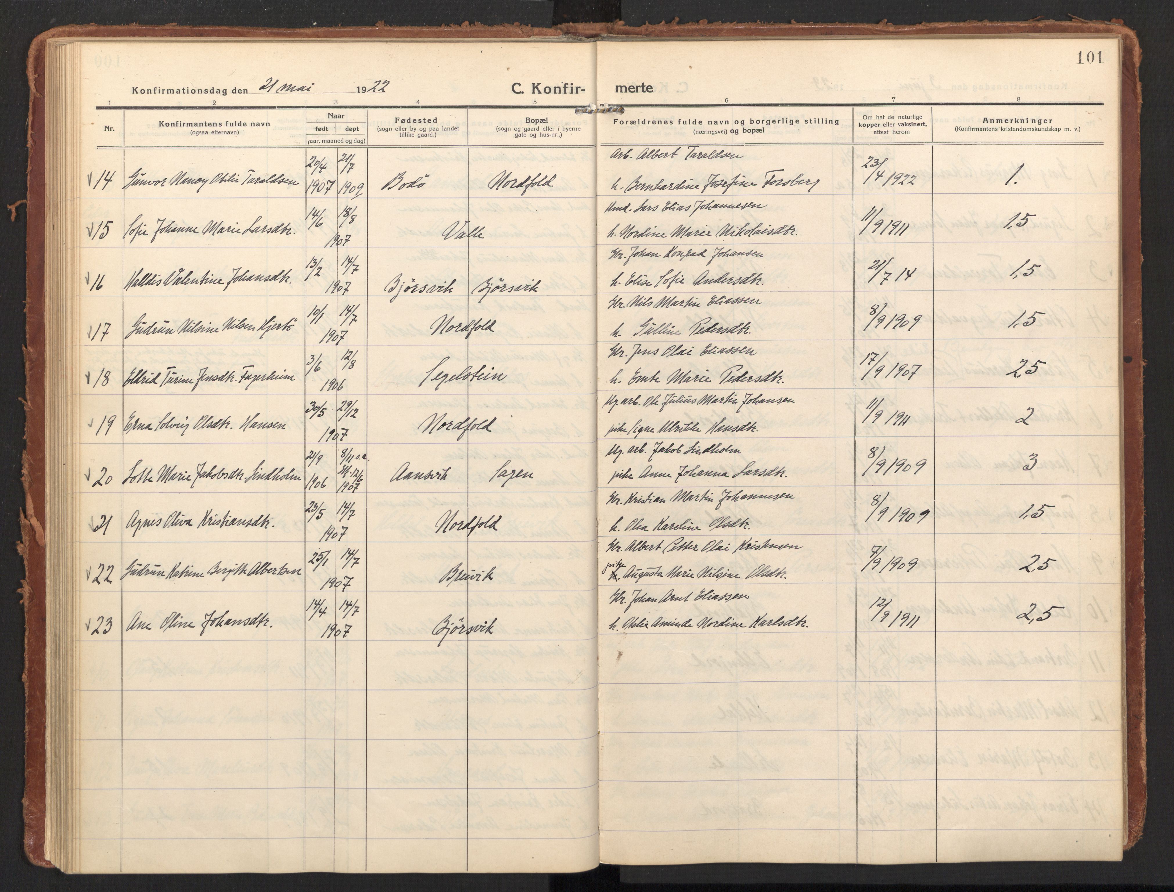 Ministerialprotokoller, klokkerbøker og fødselsregistre - Nordland, AV/SAT-A-1459/858/L0833: Parish register (official) no. 858A03, 1916-1934, p. 101