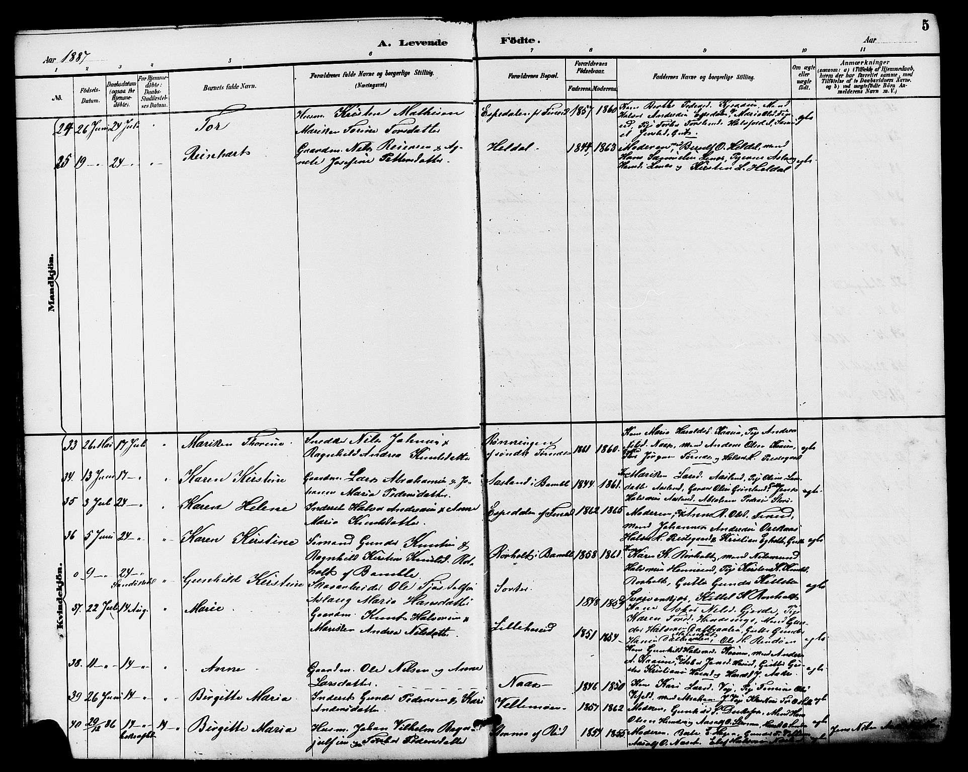 Drangedal kirkebøker, AV/SAKO-A-258/G/Ga/L0003: Parish register (copy) no. I 3, 1887-1906, p. 5